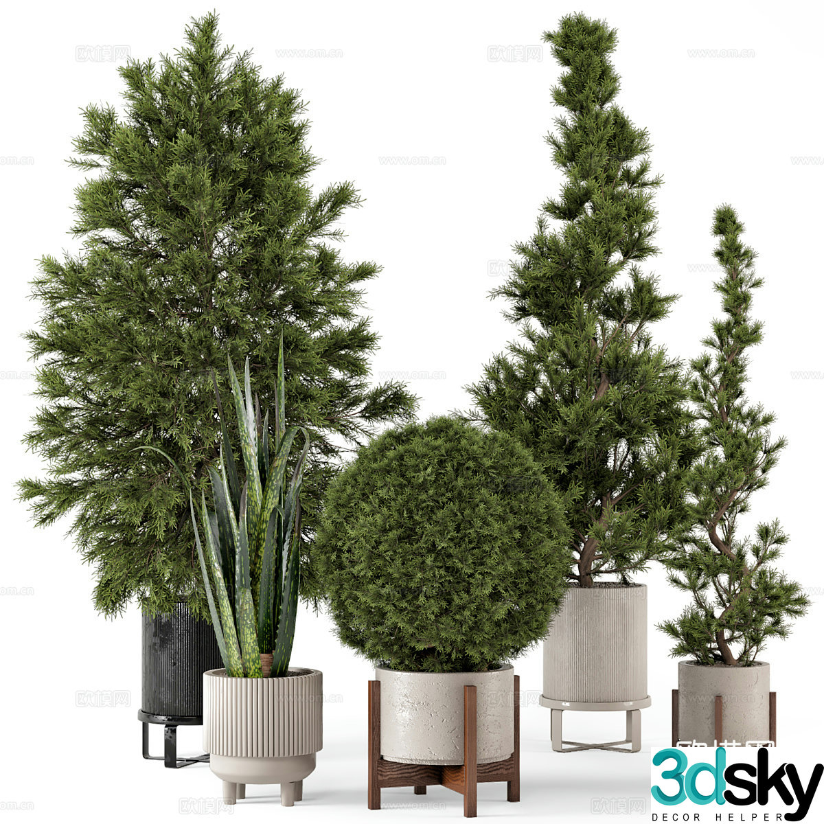 New Chinese green plant potted 3D model