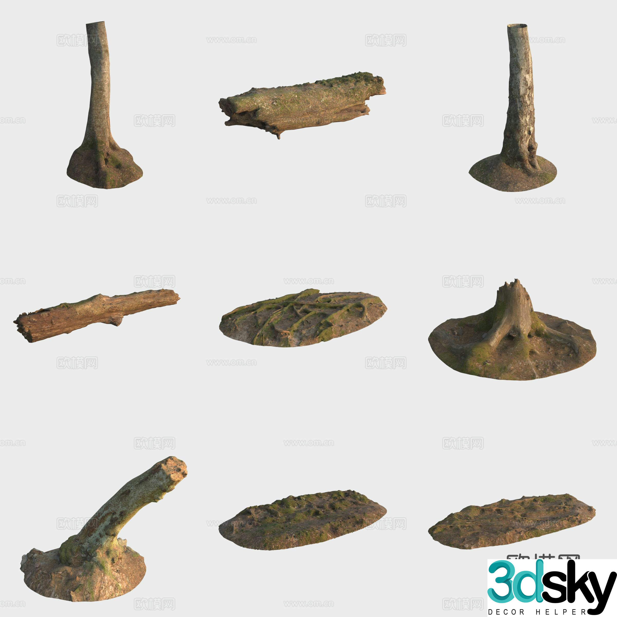 3d model of trunk branches stump