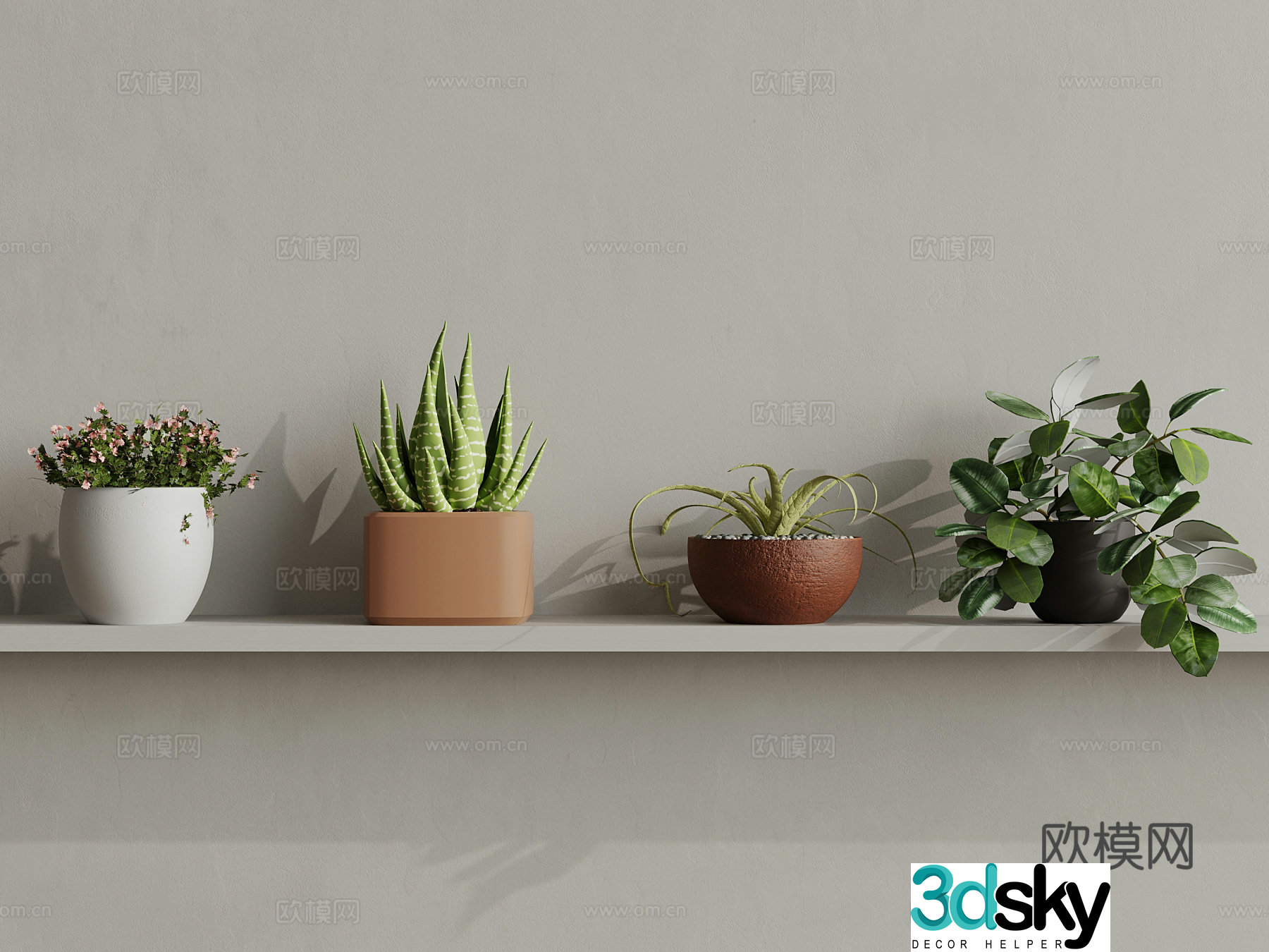 Modern desktop pot plant 3d model