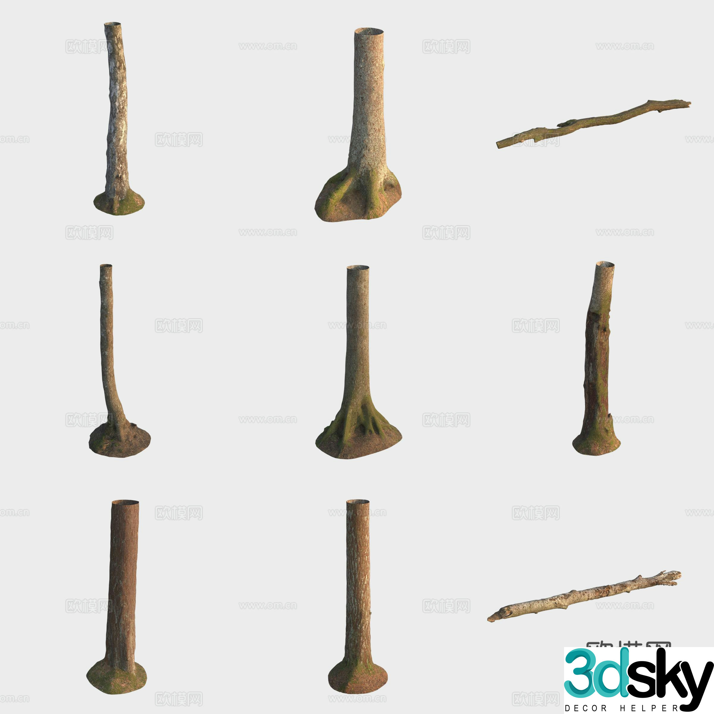 3d model of trunk branches stump