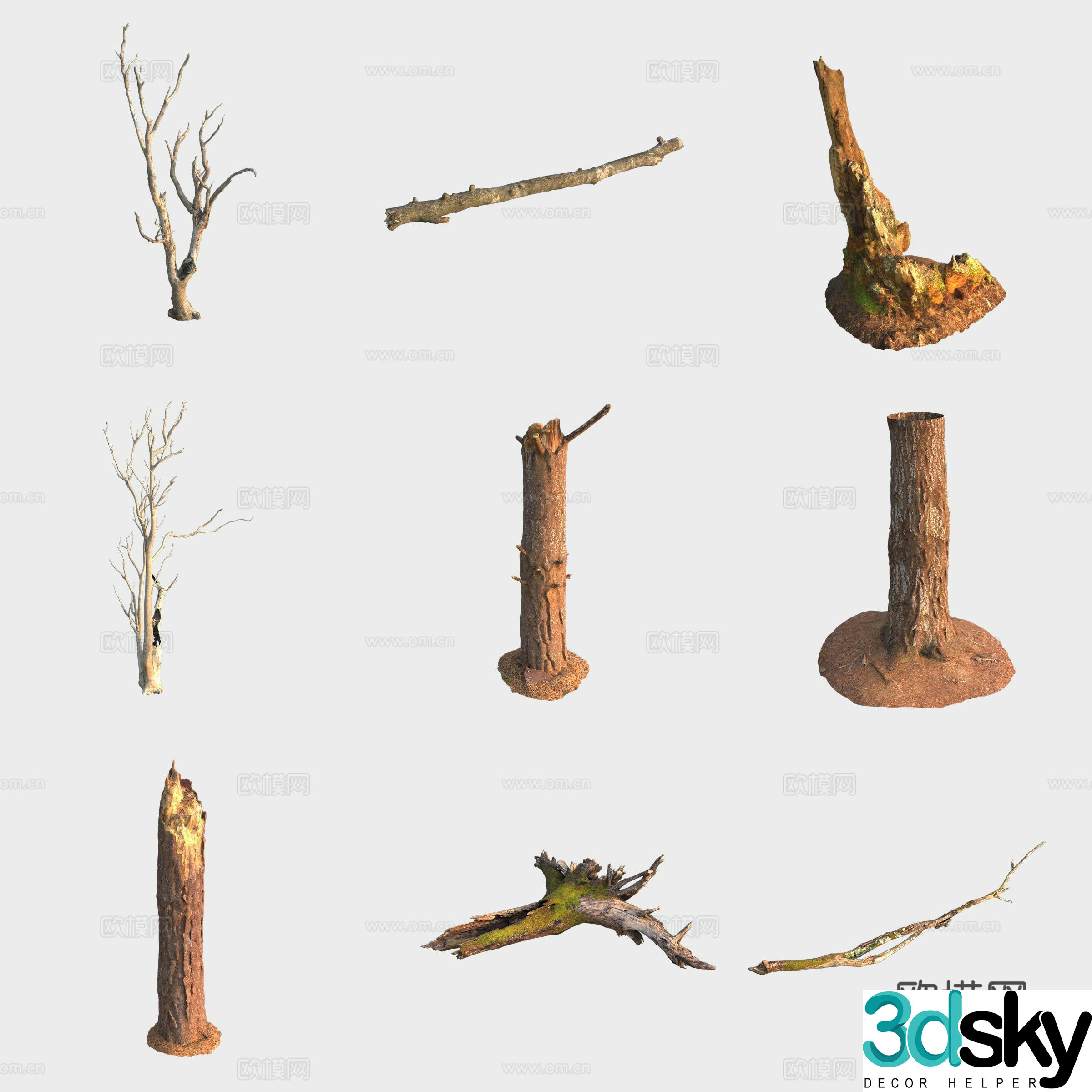 3d model of trunk branches stump