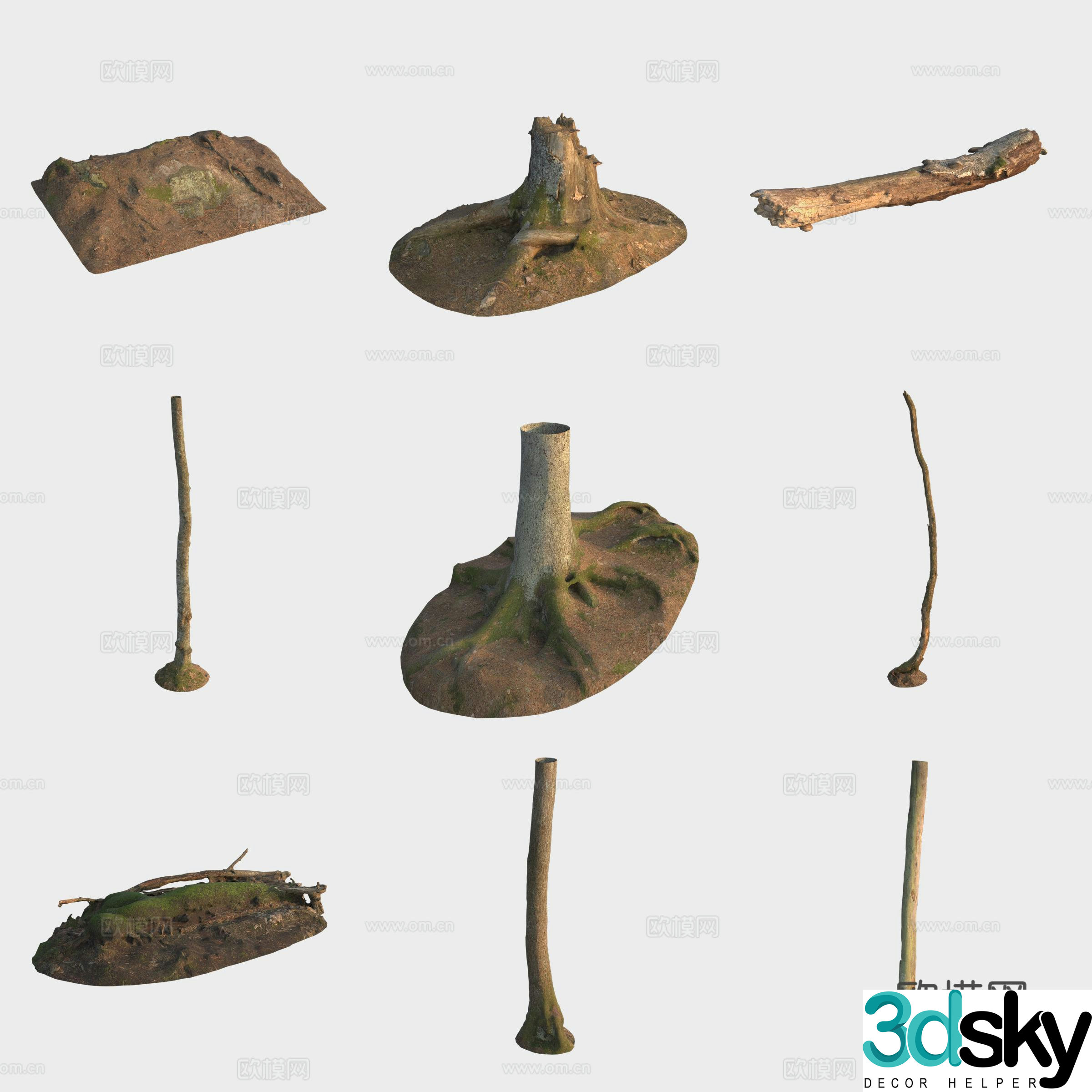 3d model of trunk branches stump