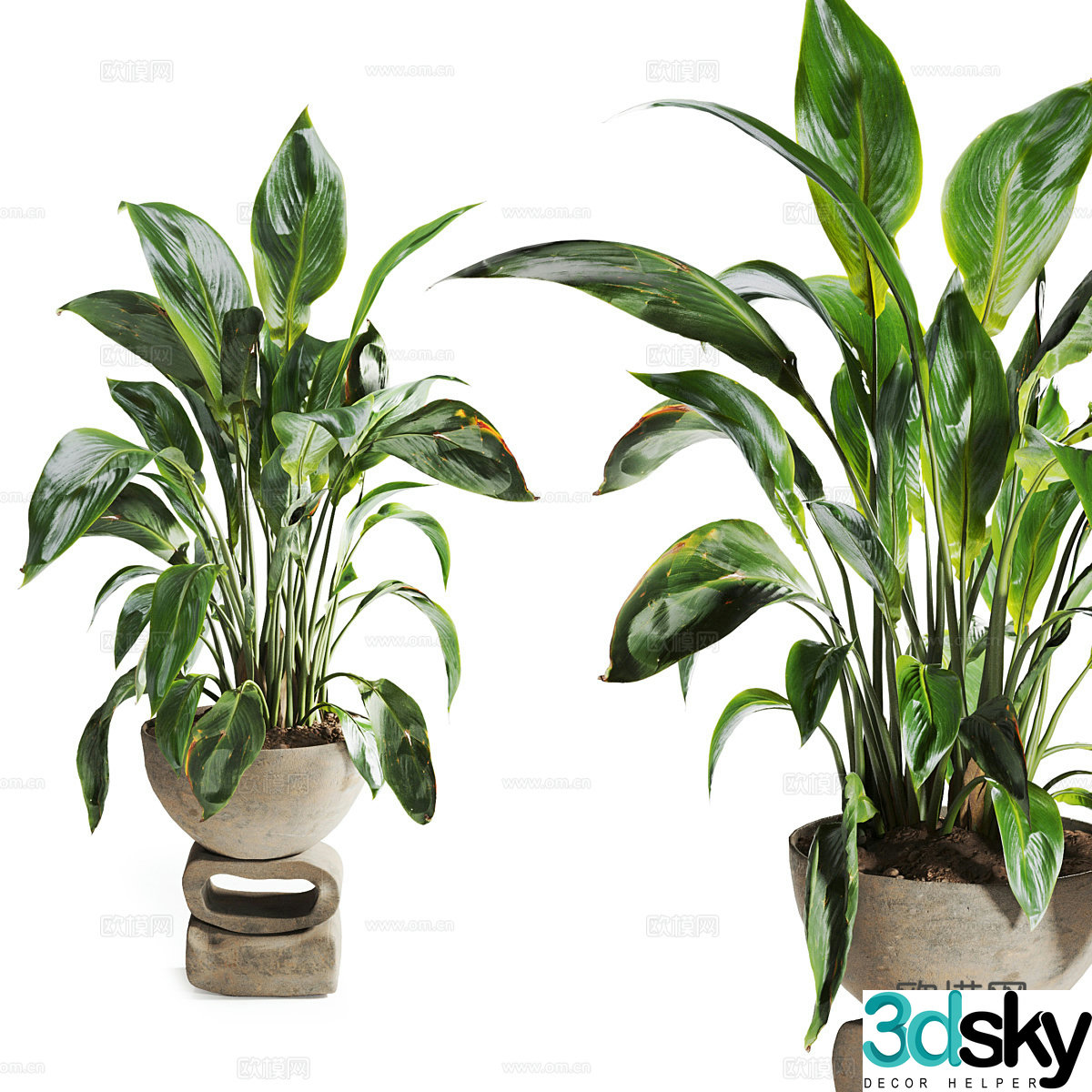 New Chinese style stone pot green plant pot 3D model