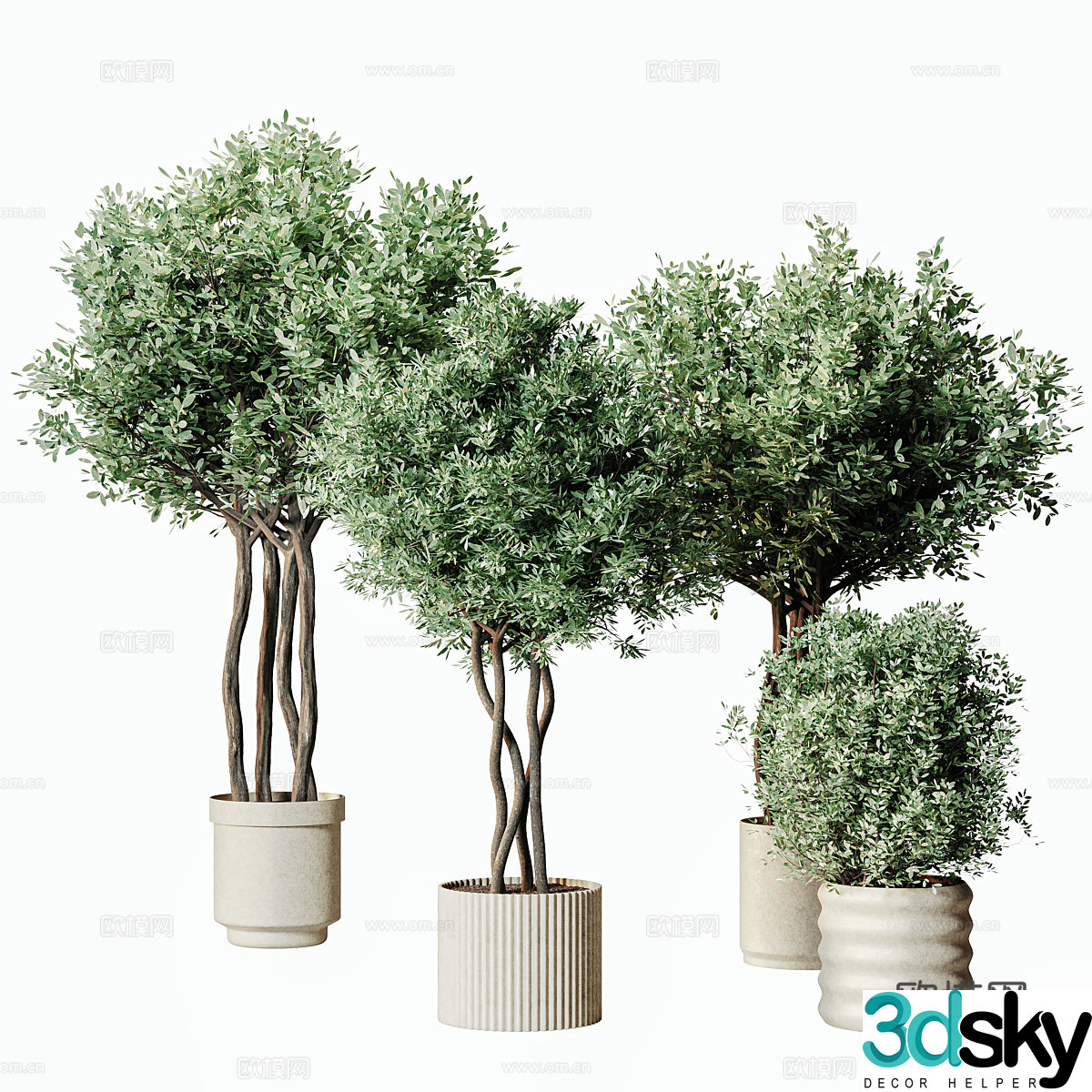 New Chinese green plant potted 3D model