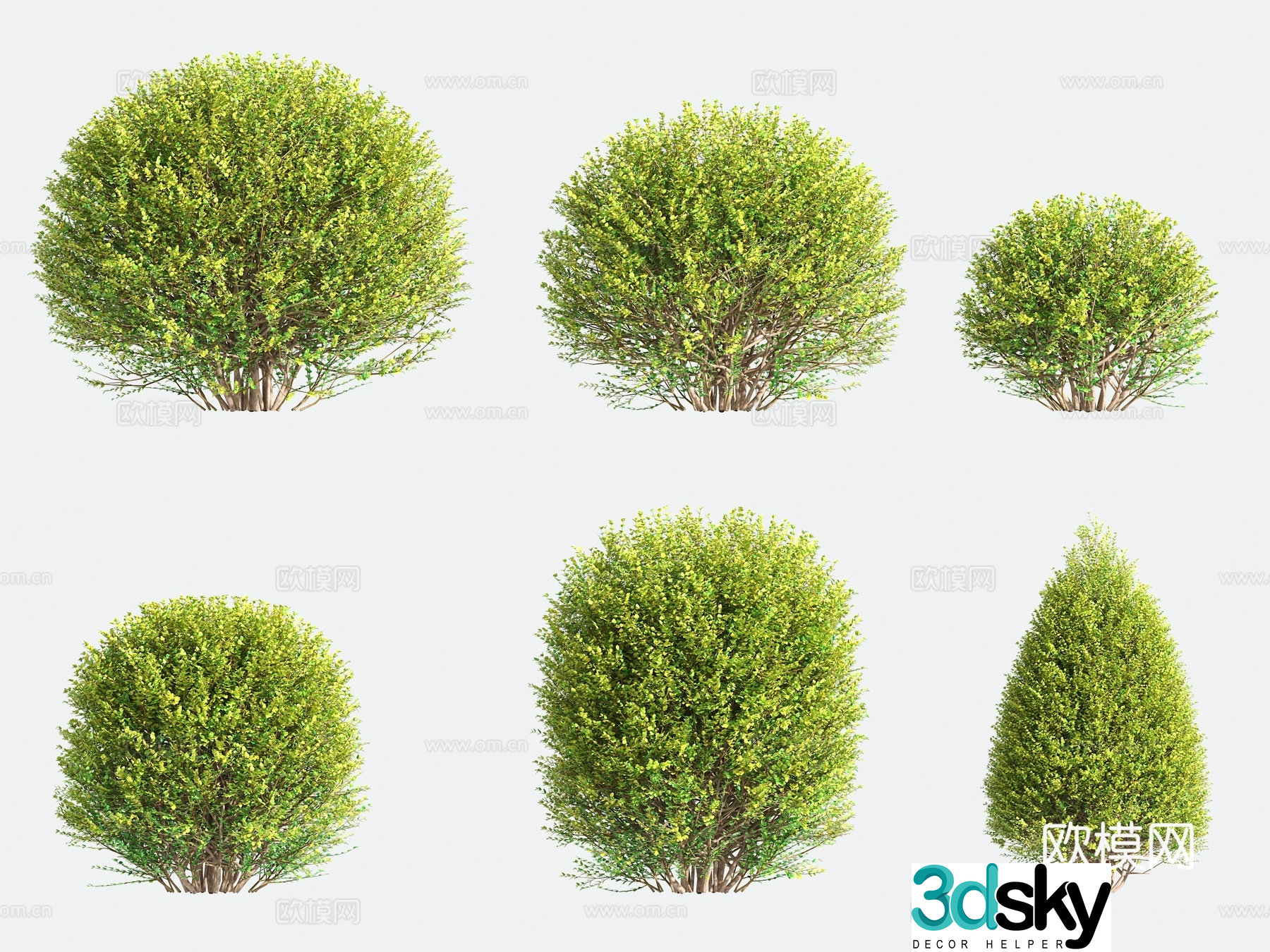Ornamental Plant Modeling Tree Gardening Shrub 3D Model