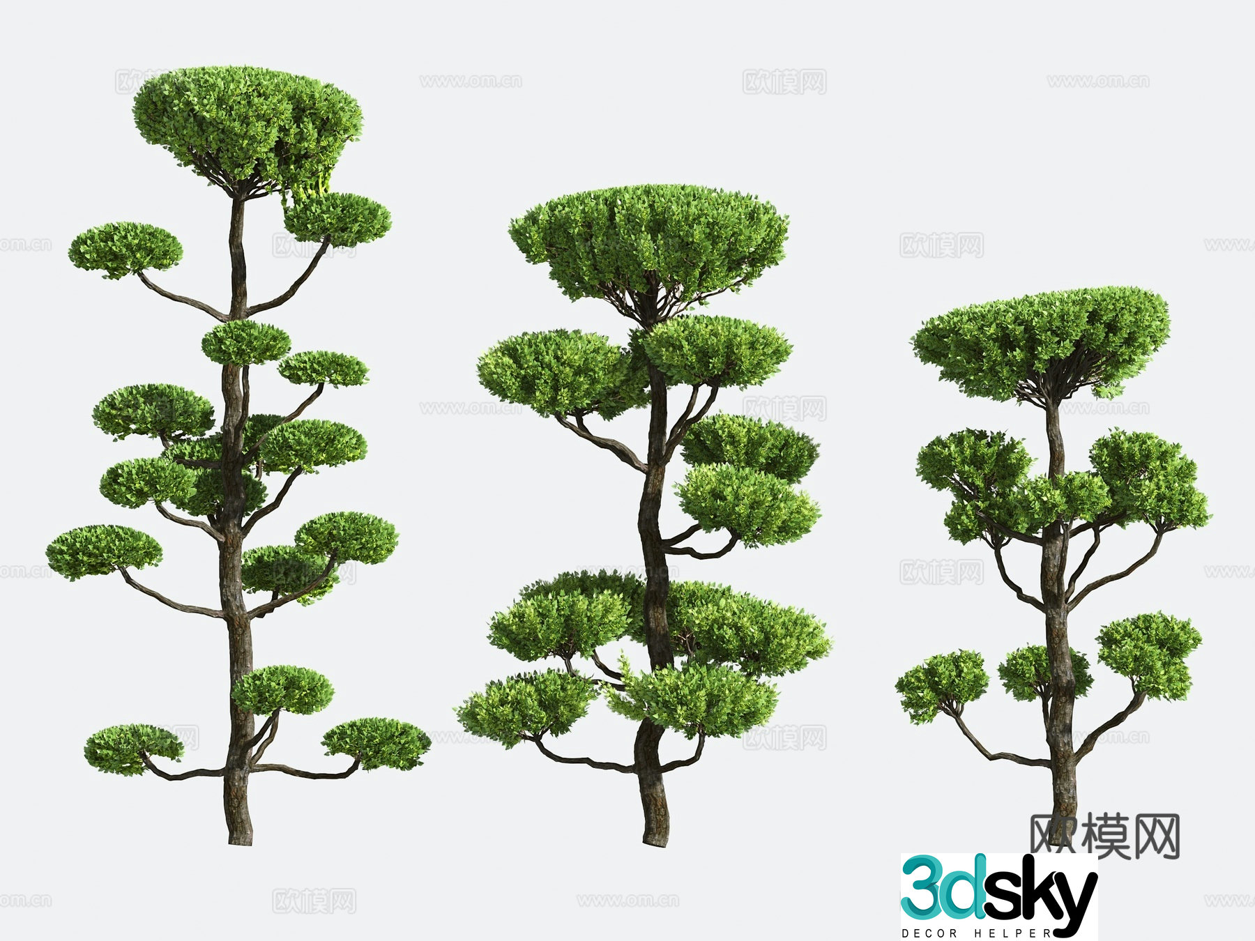Shrub Modeling Tree Gardening 3d Model
