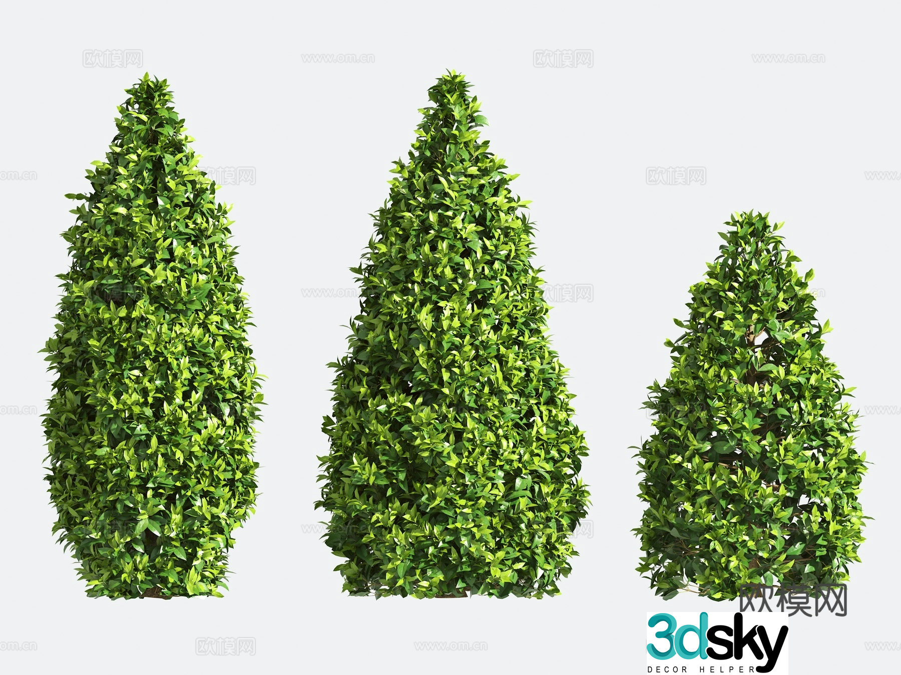 Ornamental Plant Modeling Tree Gardening Shrub 3D Model