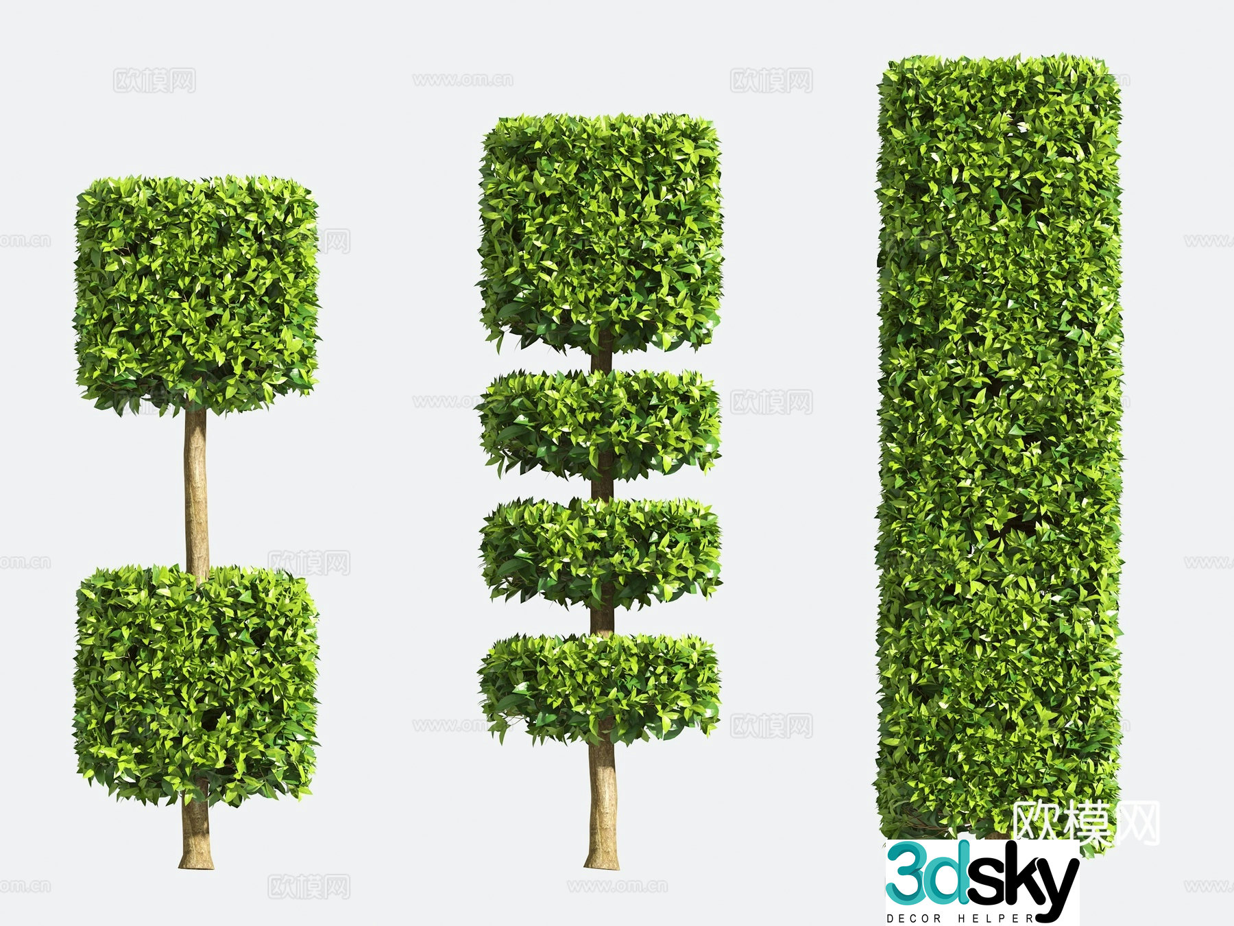 Ornamental Plant Modeling Tree Gardening Shrub 3D Model