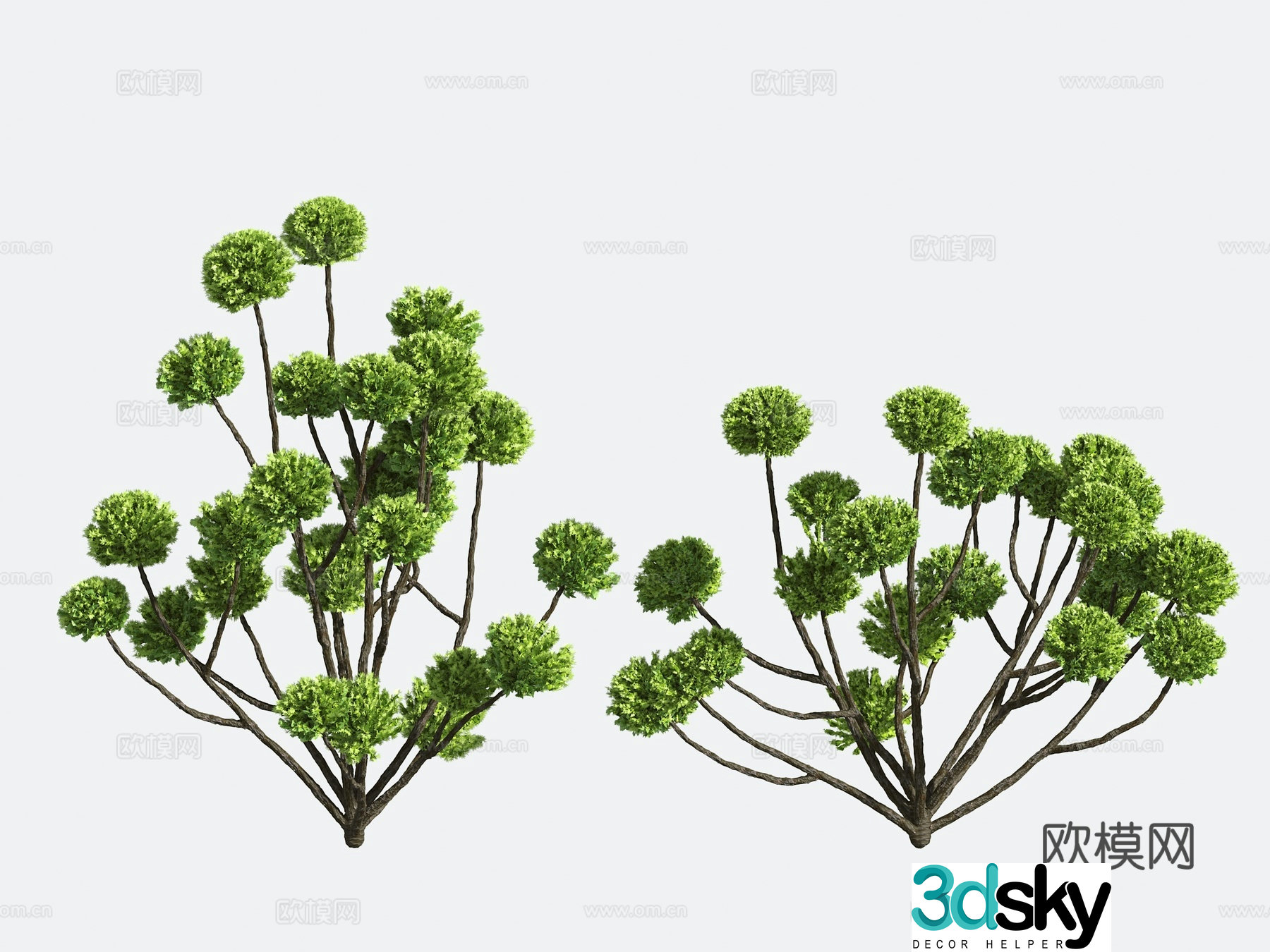 Shrub Modeling Tree Gardening 3d Model