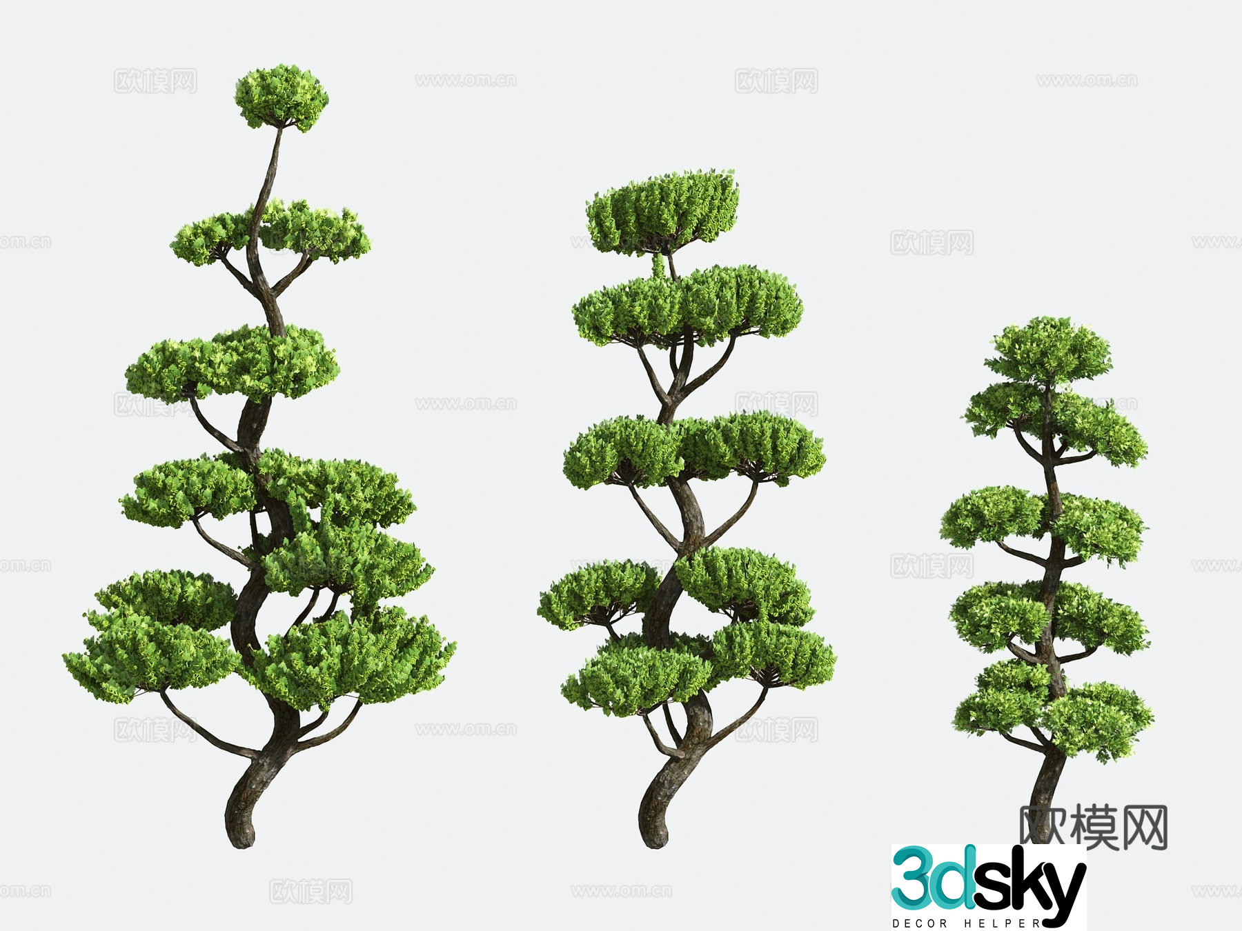 Shrub Modeling Tree Gardening 3d Model