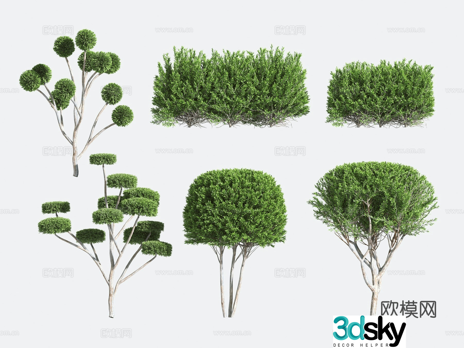 Ornamental Plant Modeling Tree Gardening Shrub 3D Model