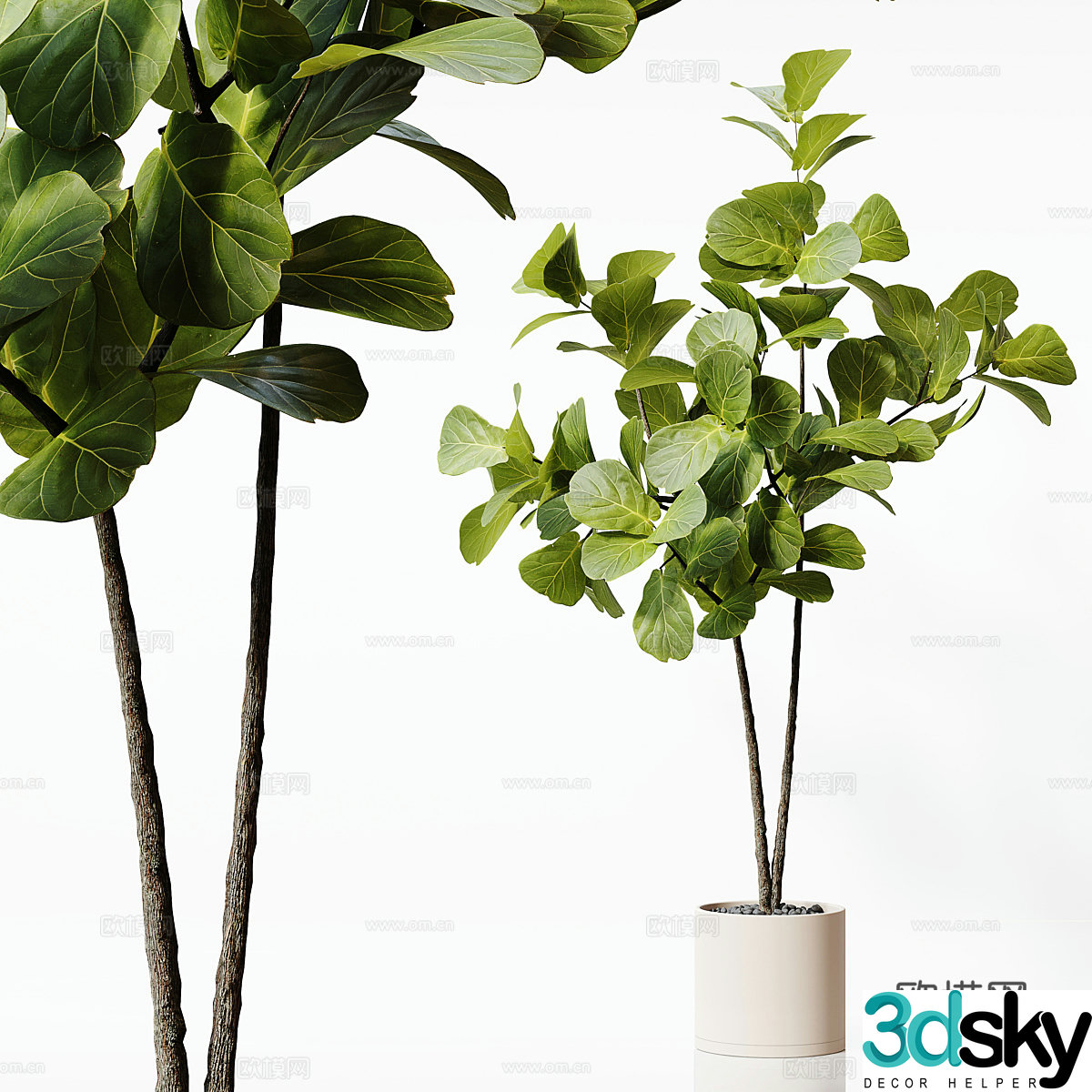 Modern green plant potted 3D model