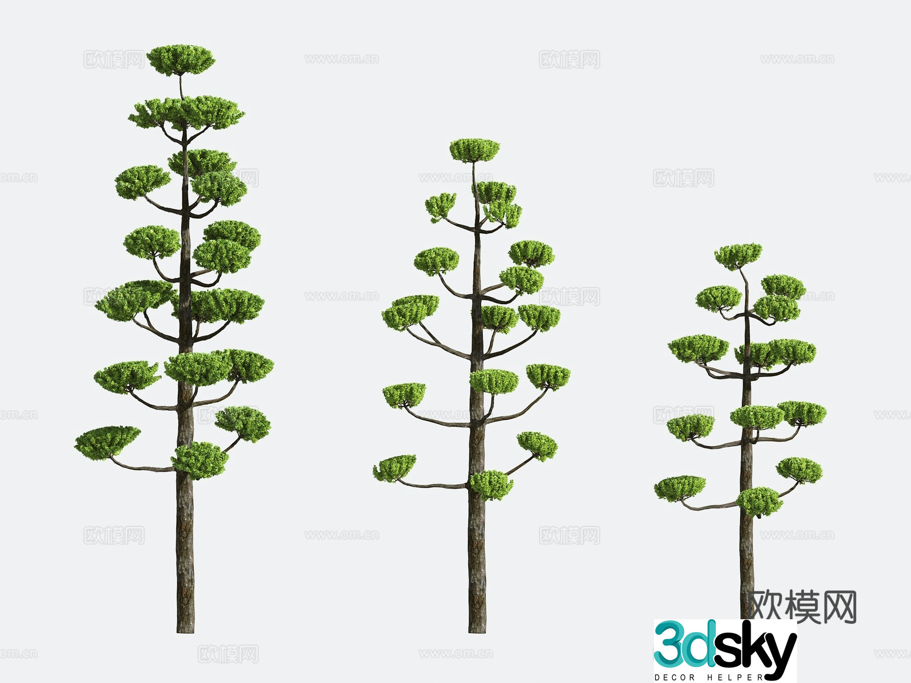 Shrub Modeling Tree Gardening 3d Model