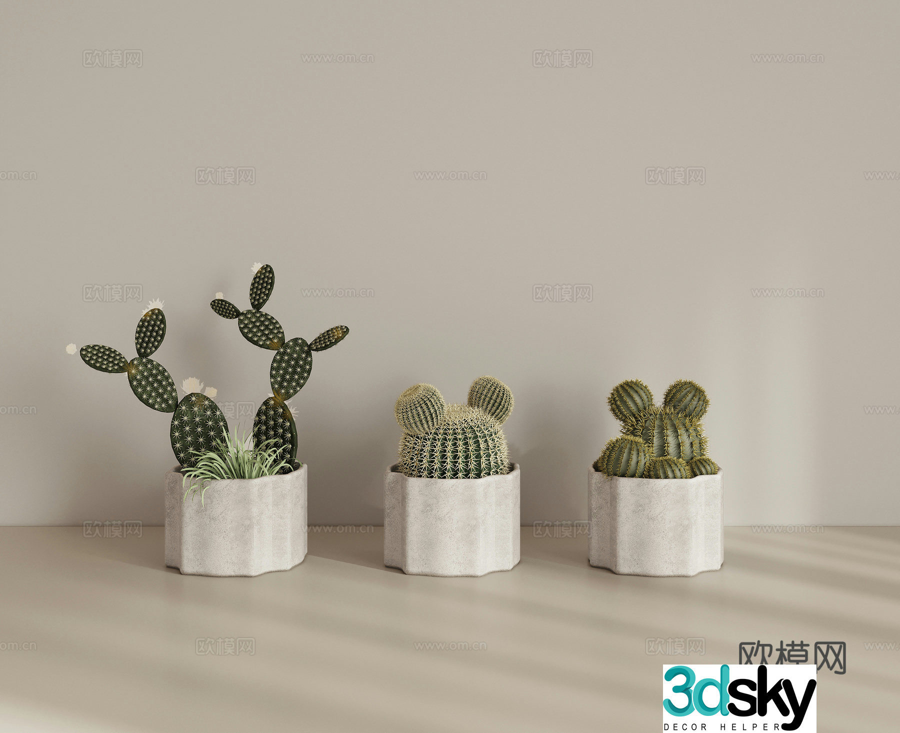 Green plant potted succulent potted 3D model