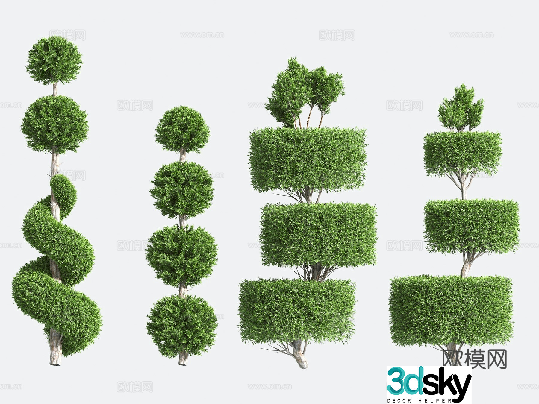Ornamental Plant Modeling Tree Gardening Shrub 3D Model