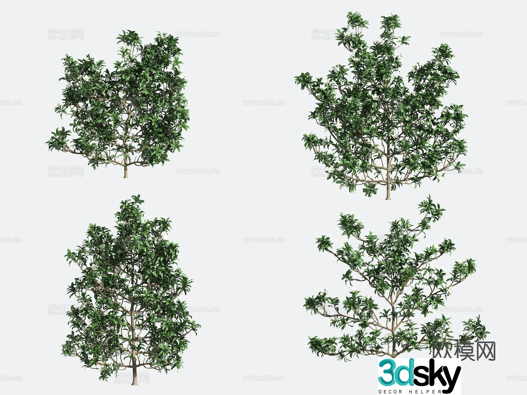 Ornamental Plant Modeling Tree Gardening 3D Model