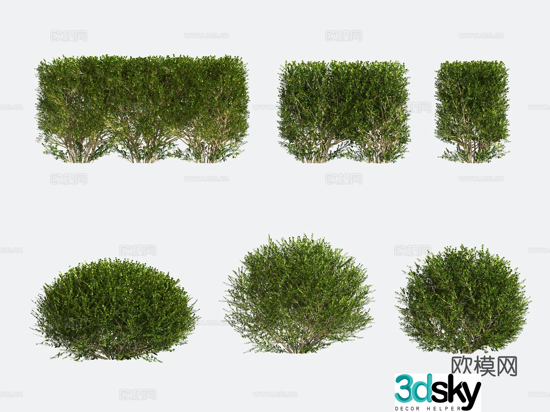 Shrub Modeling Tree Gardening 3d Model