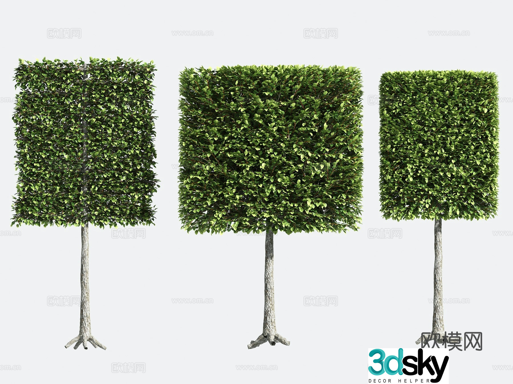 Ornamental Plant Modeling Tree Gardening 3D Model