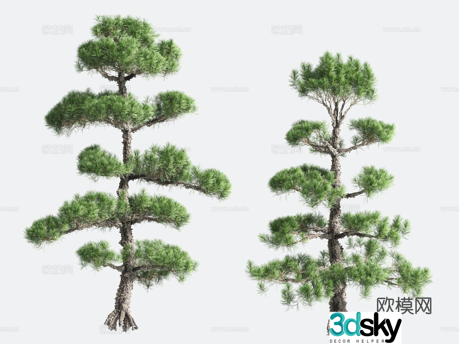 Ornamental Plant Modeling Tree Gardening 3D Model