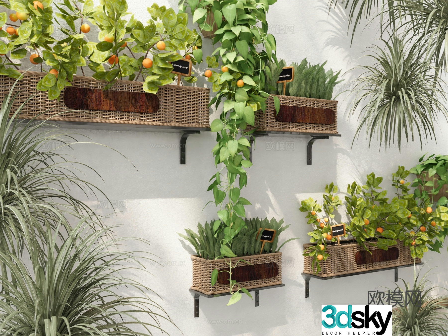 Potted plants wall hanging green plants wall decoration potted plants 3D model
