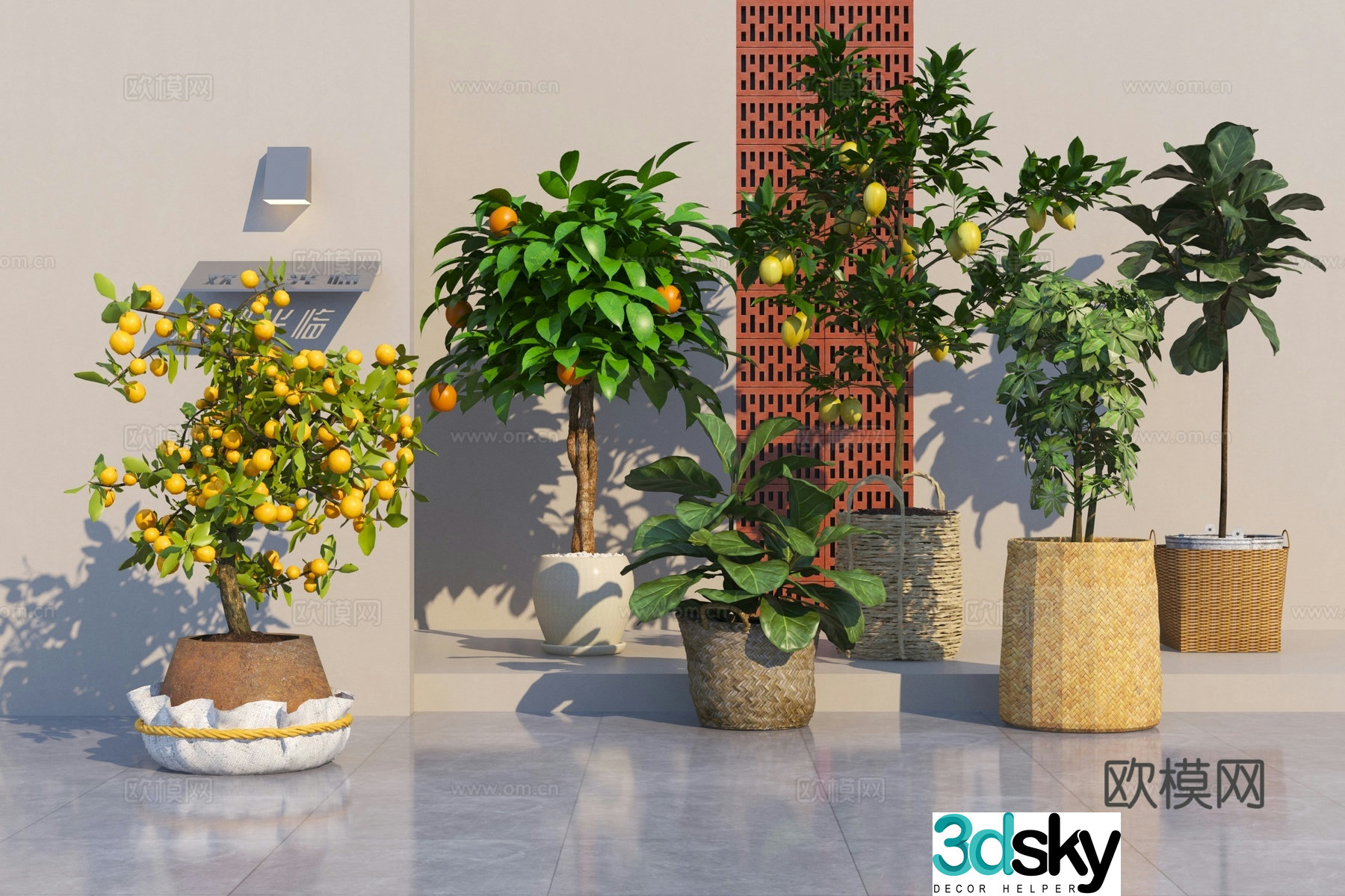 Modern plant potted bonsai 3D model