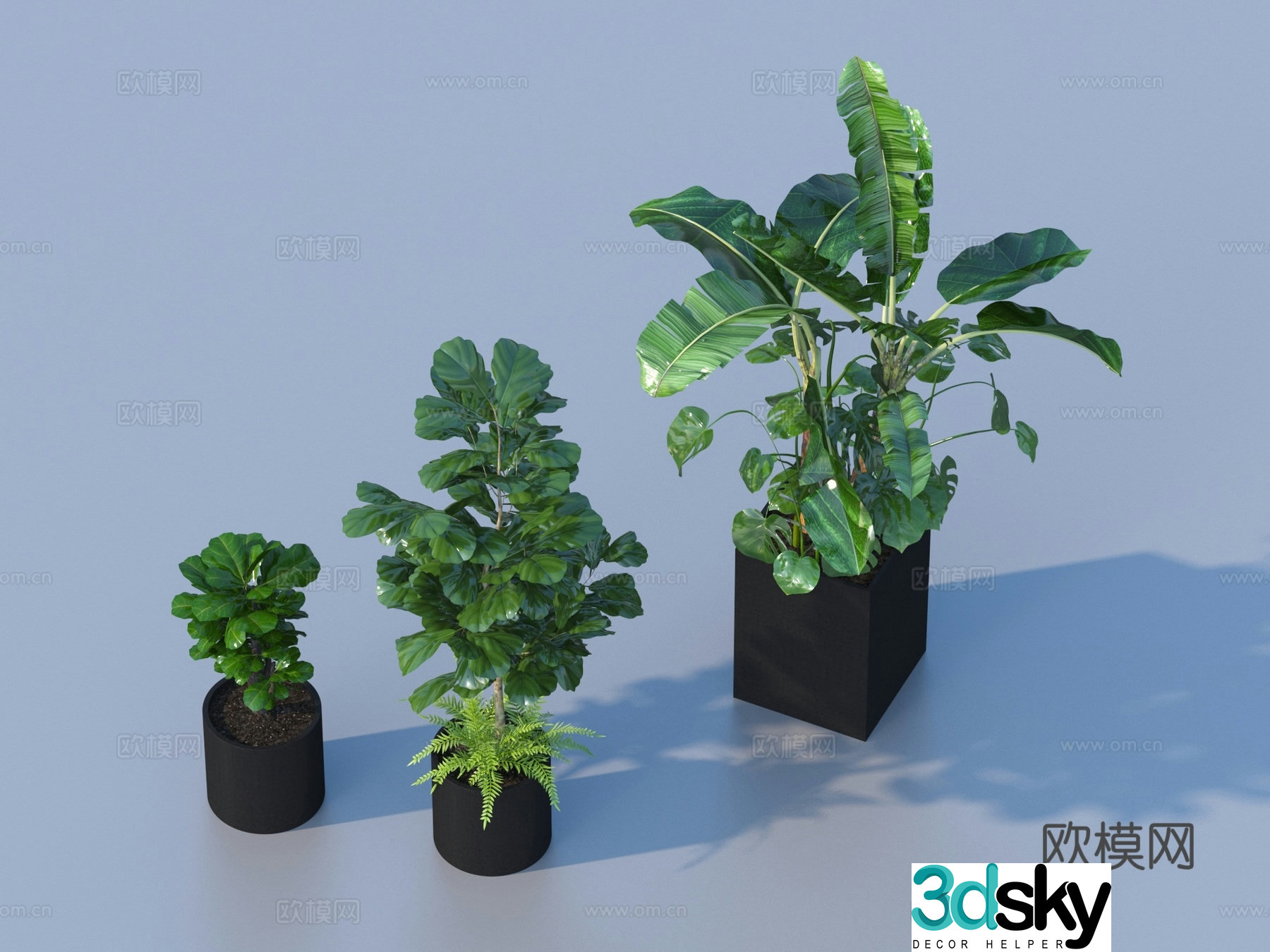 Flower pot pot green plants plant 3d model