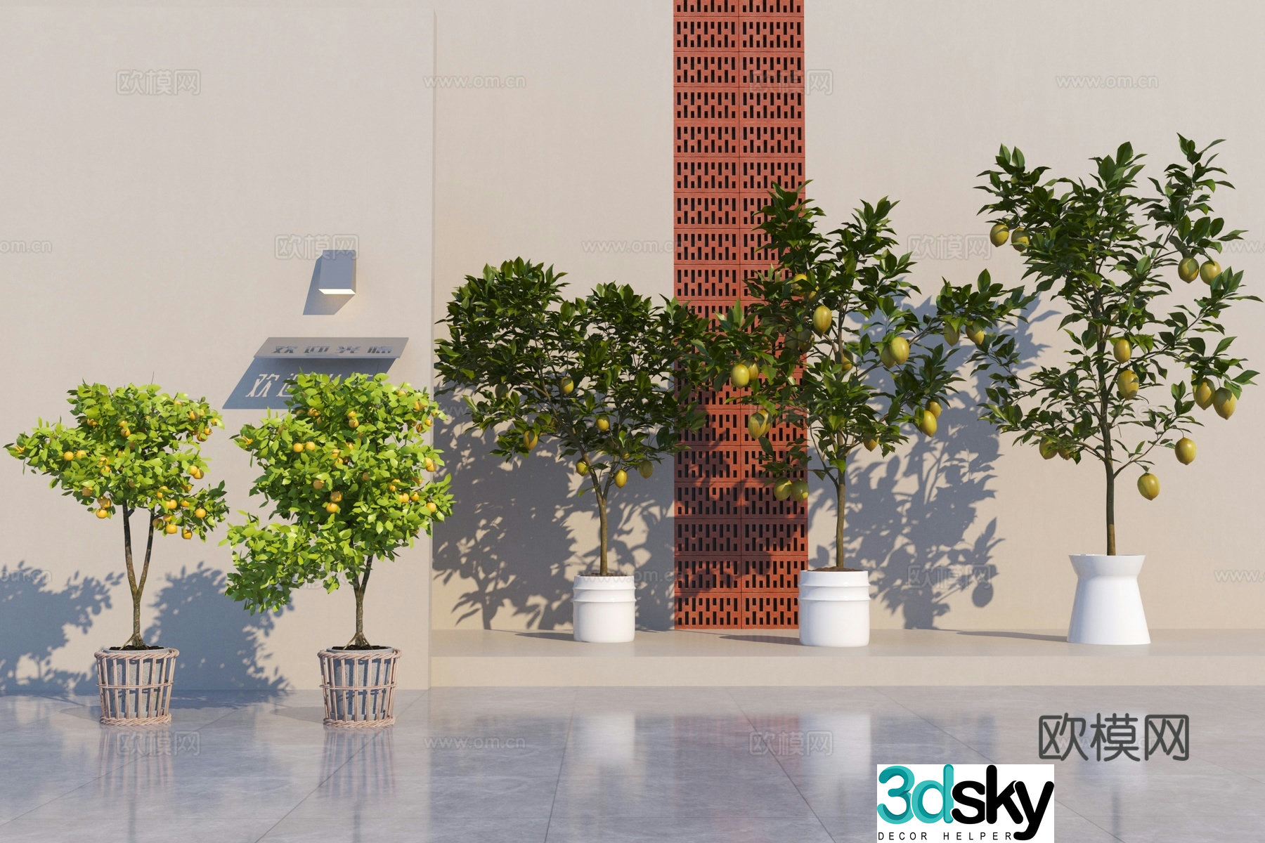 Modern grapefruit tree orange tree lemon tree 3d model