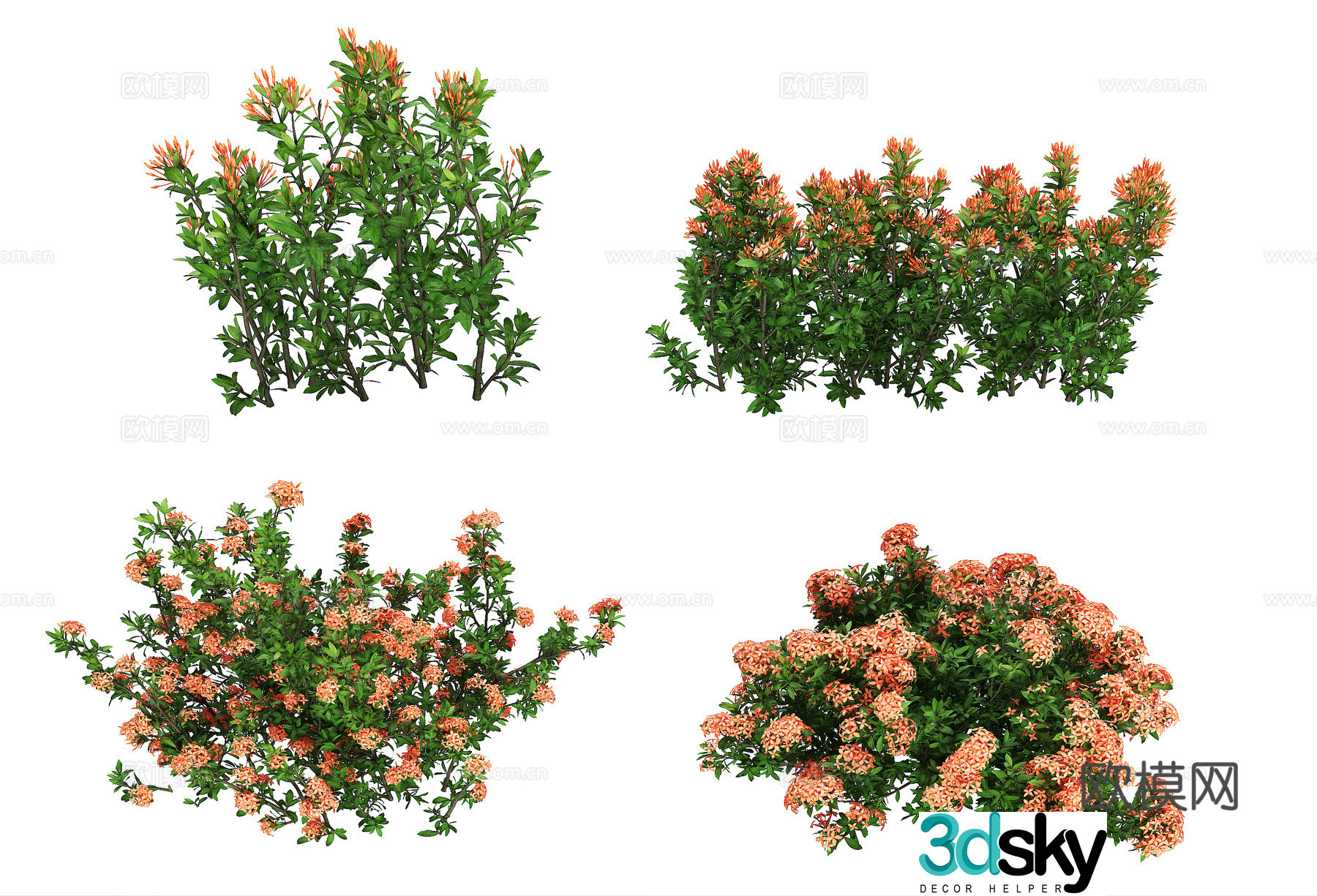 Modern Dragon Boat Flower 3D Model
