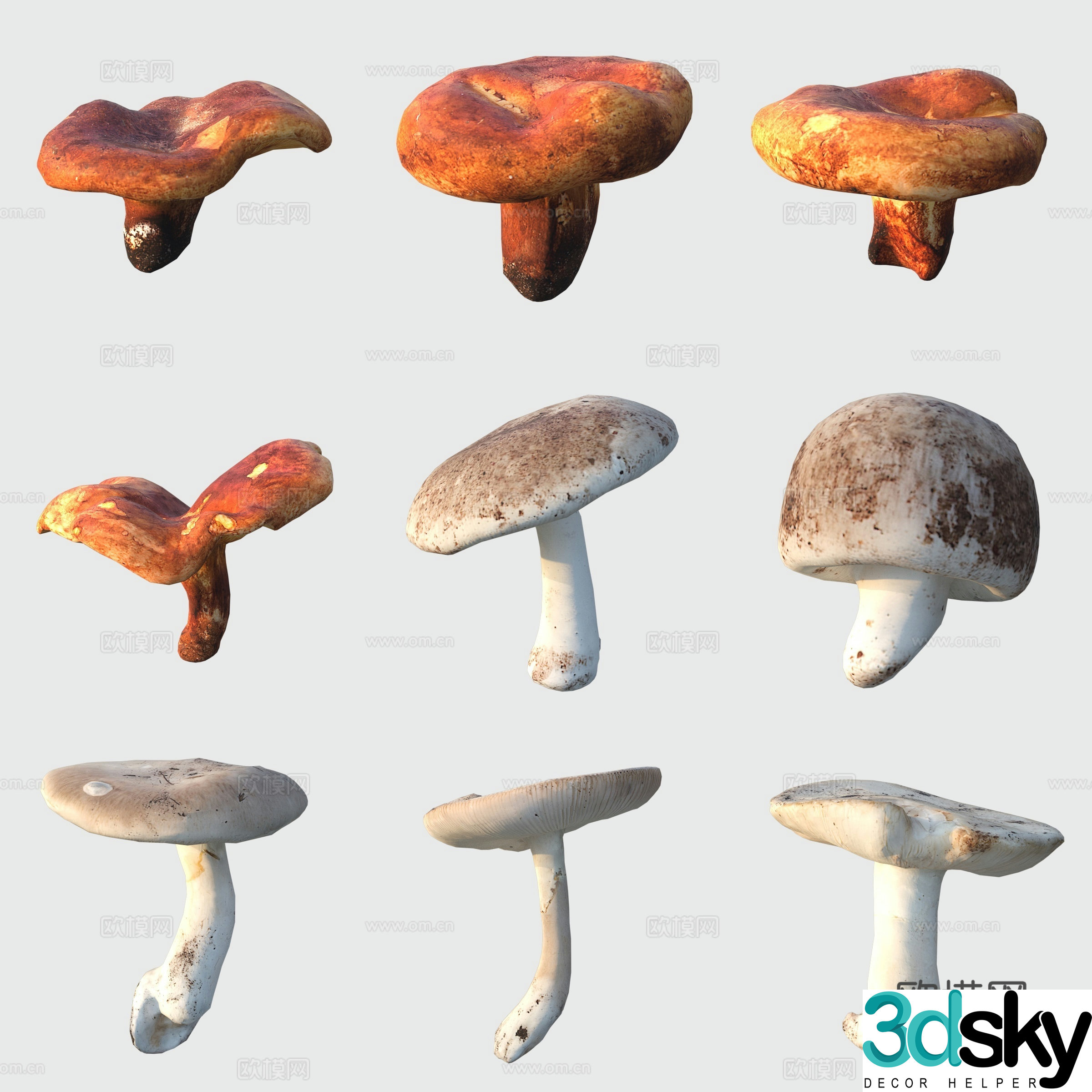 Food Vegetables Mushrooms Mushrooms 3D Model