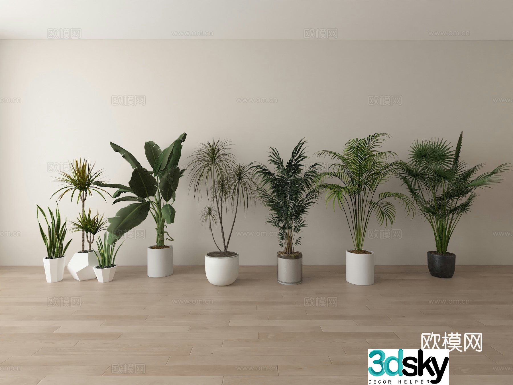 Green plant 3d model