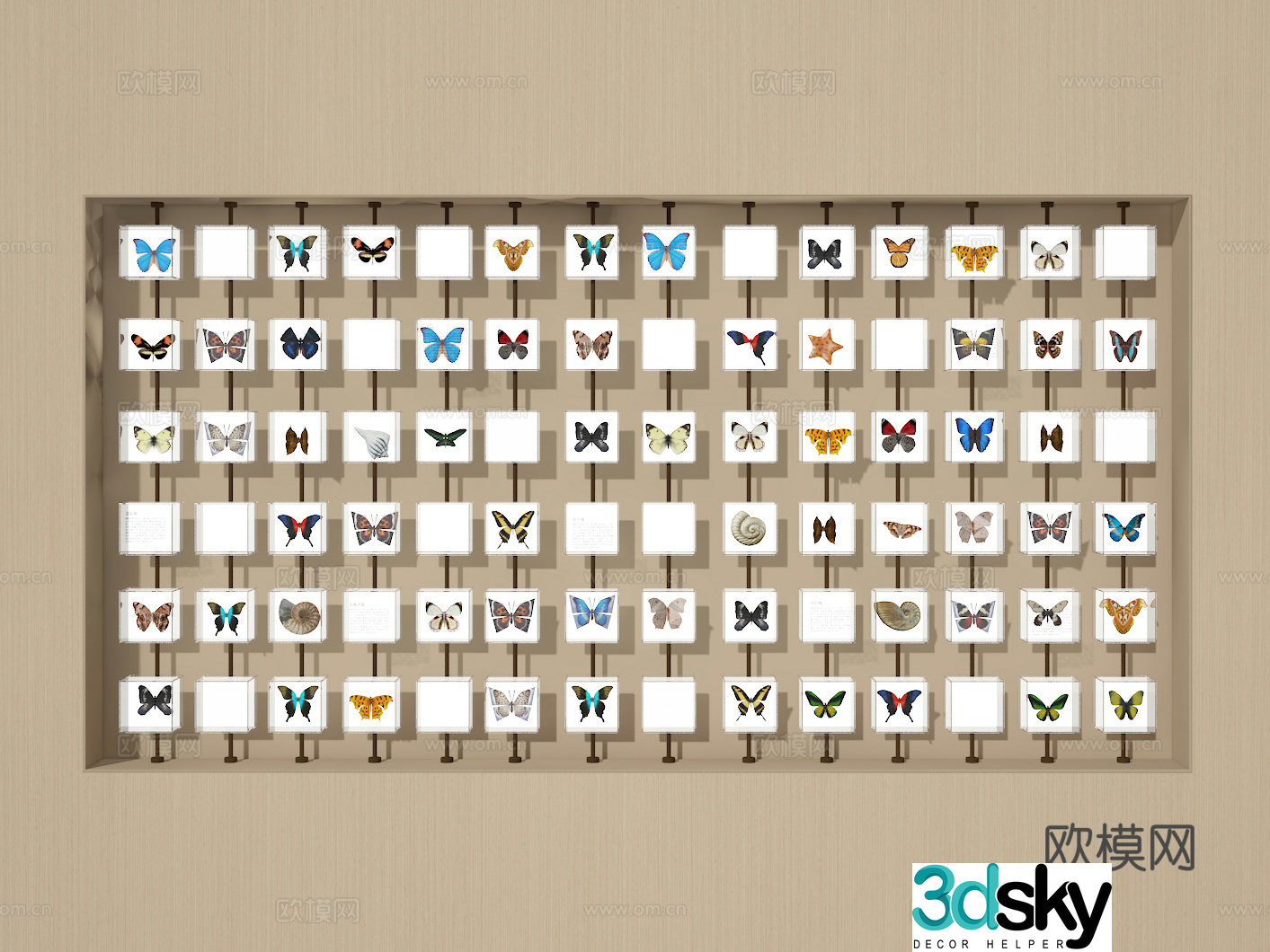 Specimen wall 3d model