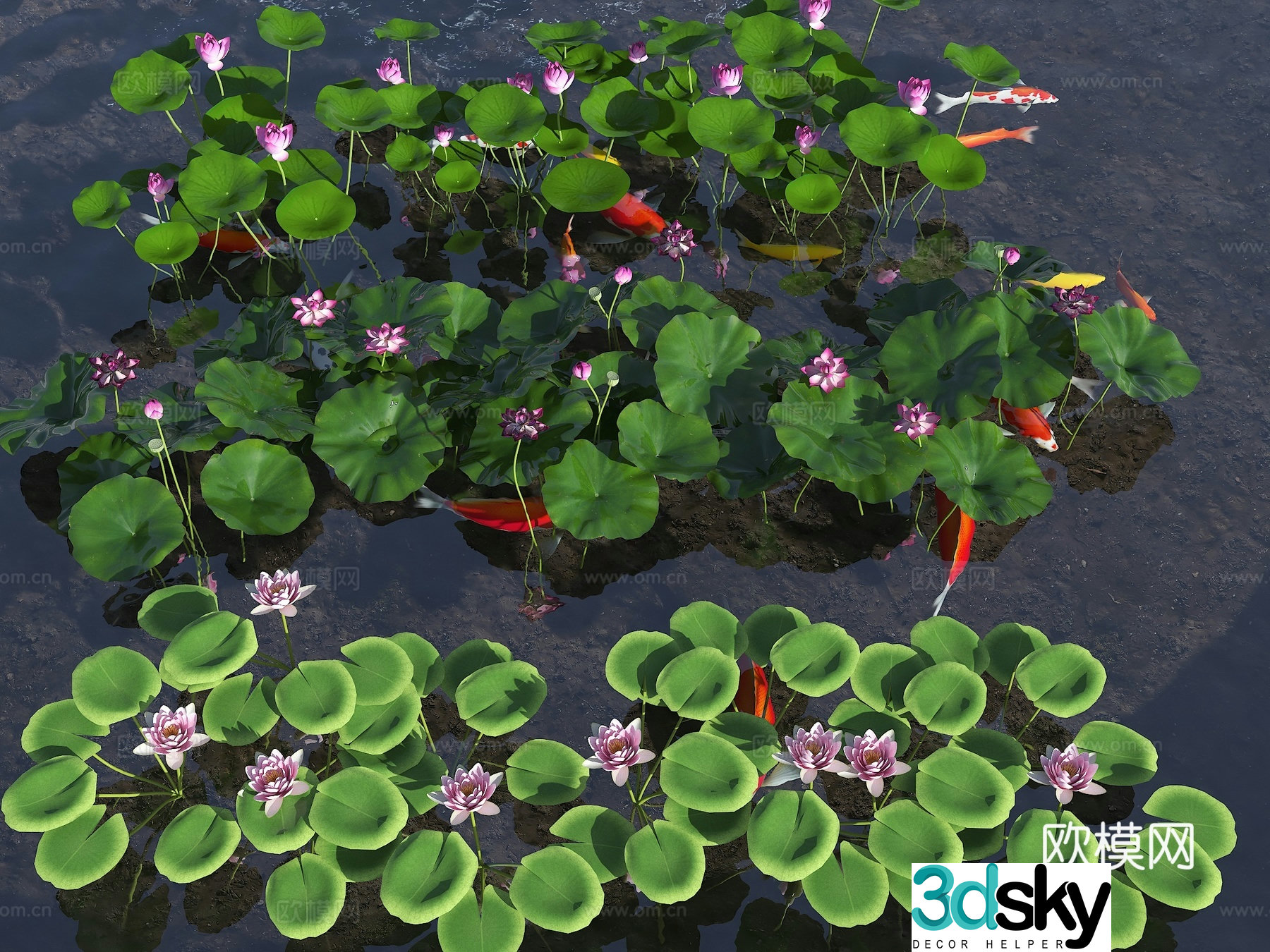 Pool Lotus Pond Ornamental Koi Pond Koi Fish Modern Lotus Lotus Combination 3D Model
