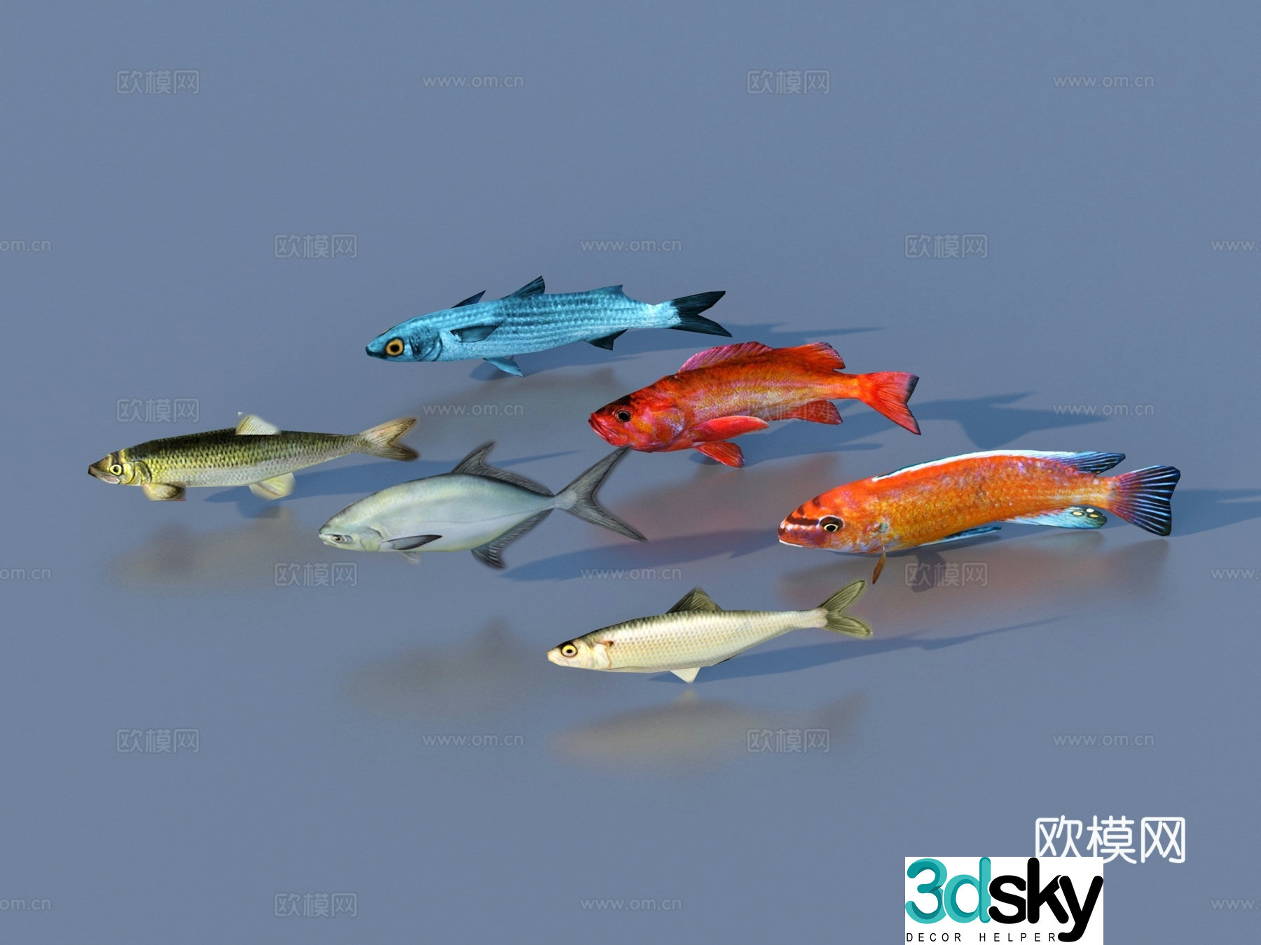Fish Freshwater Fish Sea Fish Animal Game Animal 3d Model