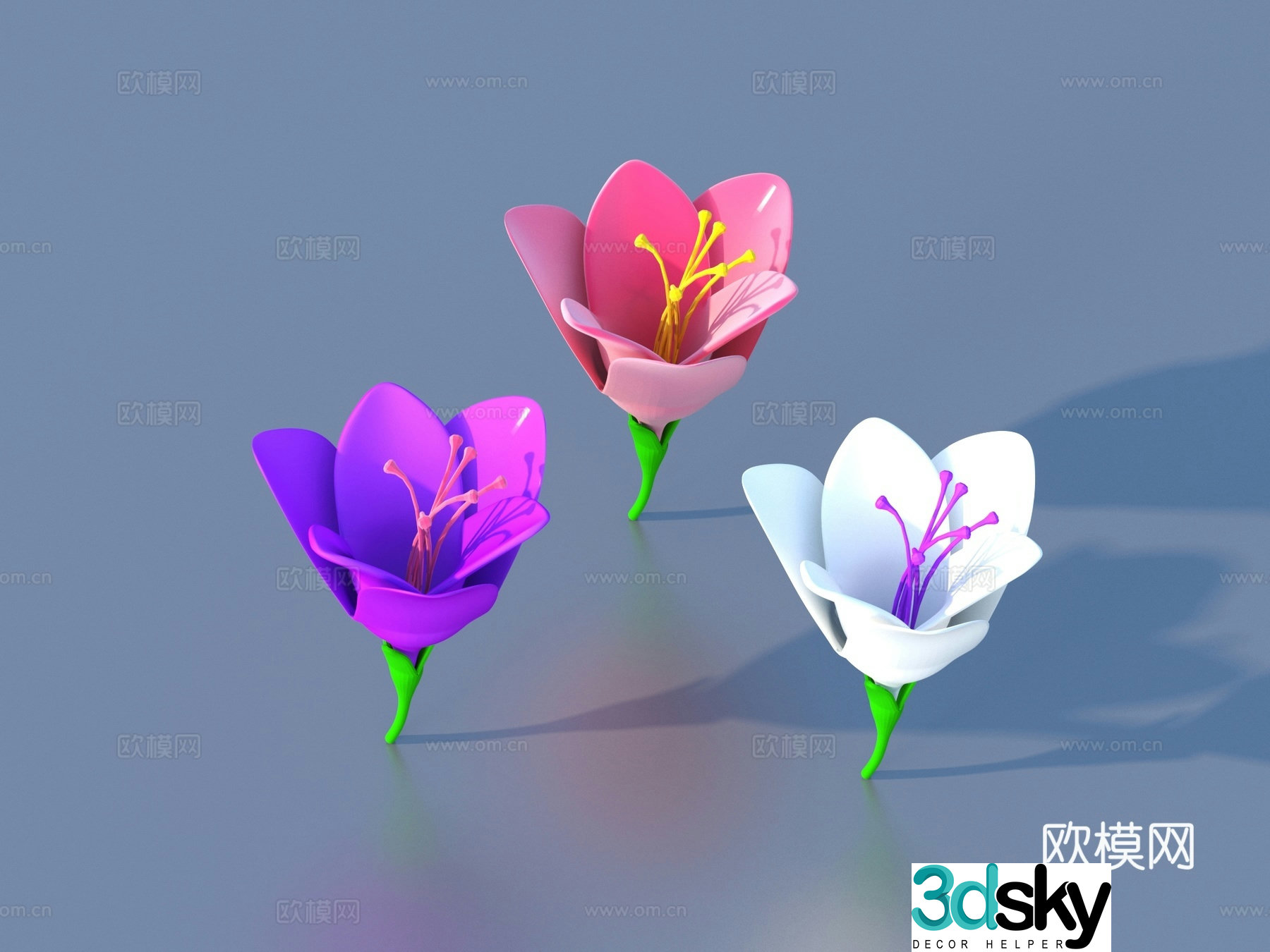Flower Cartoon Flower Wild Flower Green Plant Flower 3d Model