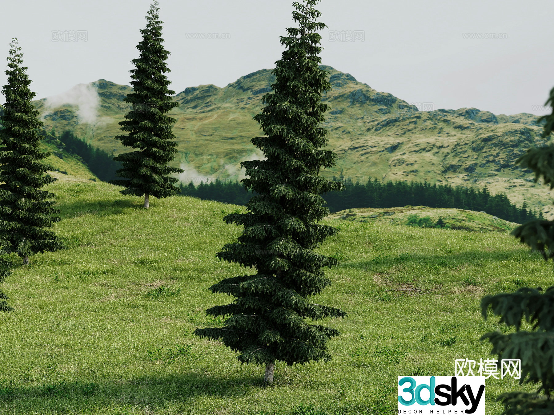 Mountain landscape green meadow mountain forest scenery outdoor hillside 3d model