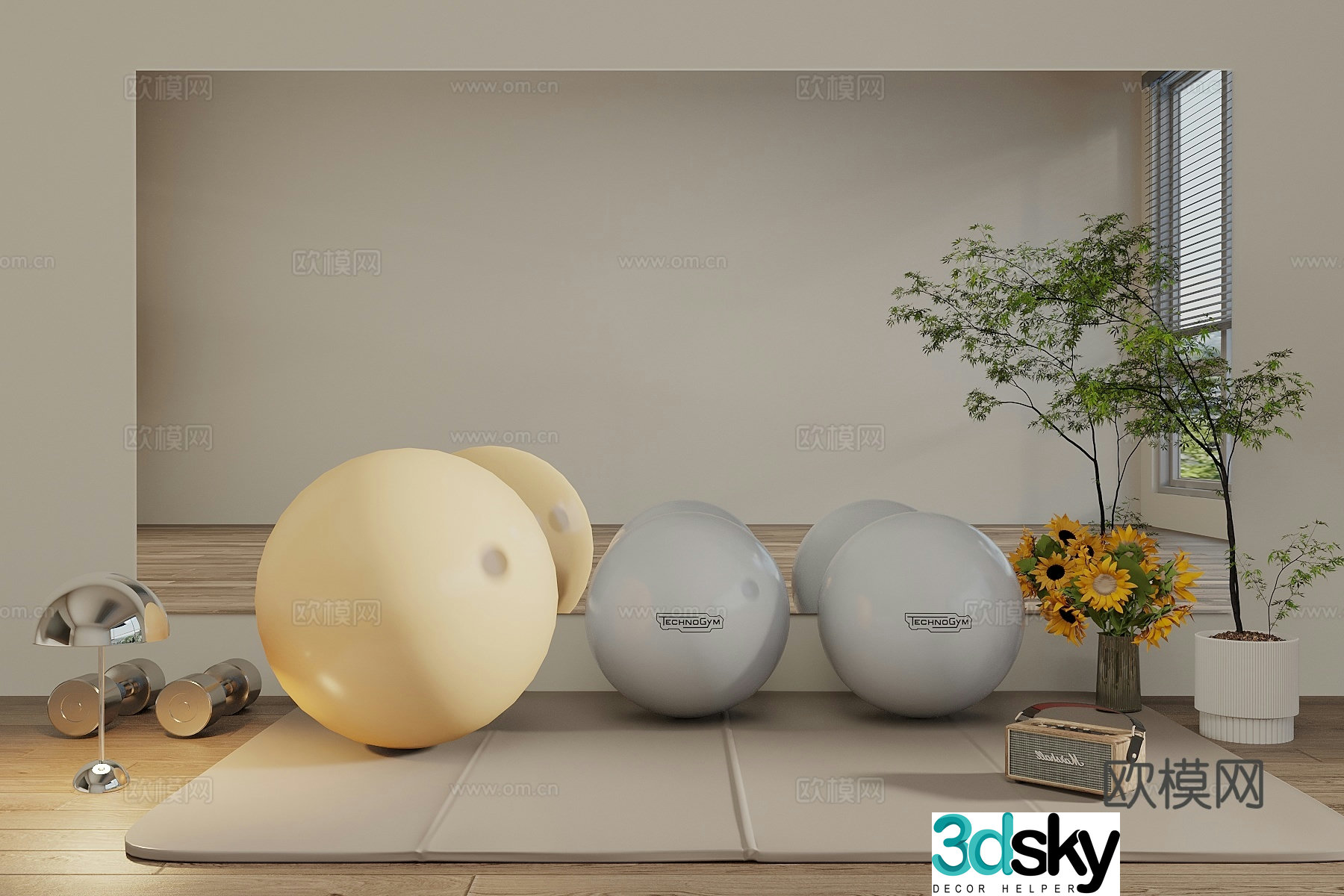 yoga supplies yoga mat yoga equipment mirror 3d model