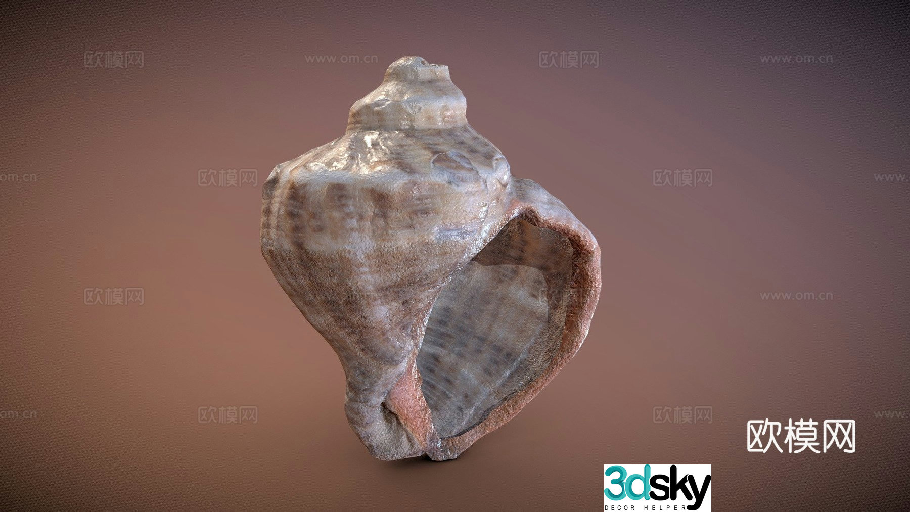 Shell-PBR game prop 3d model