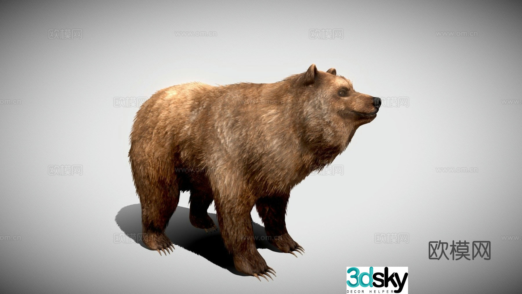 stuffed bear 3d model