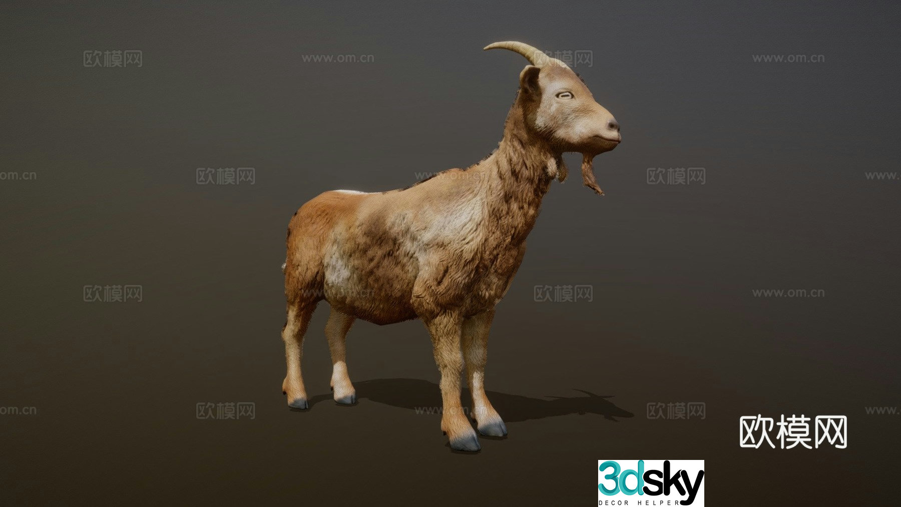 Goat animation 3d model