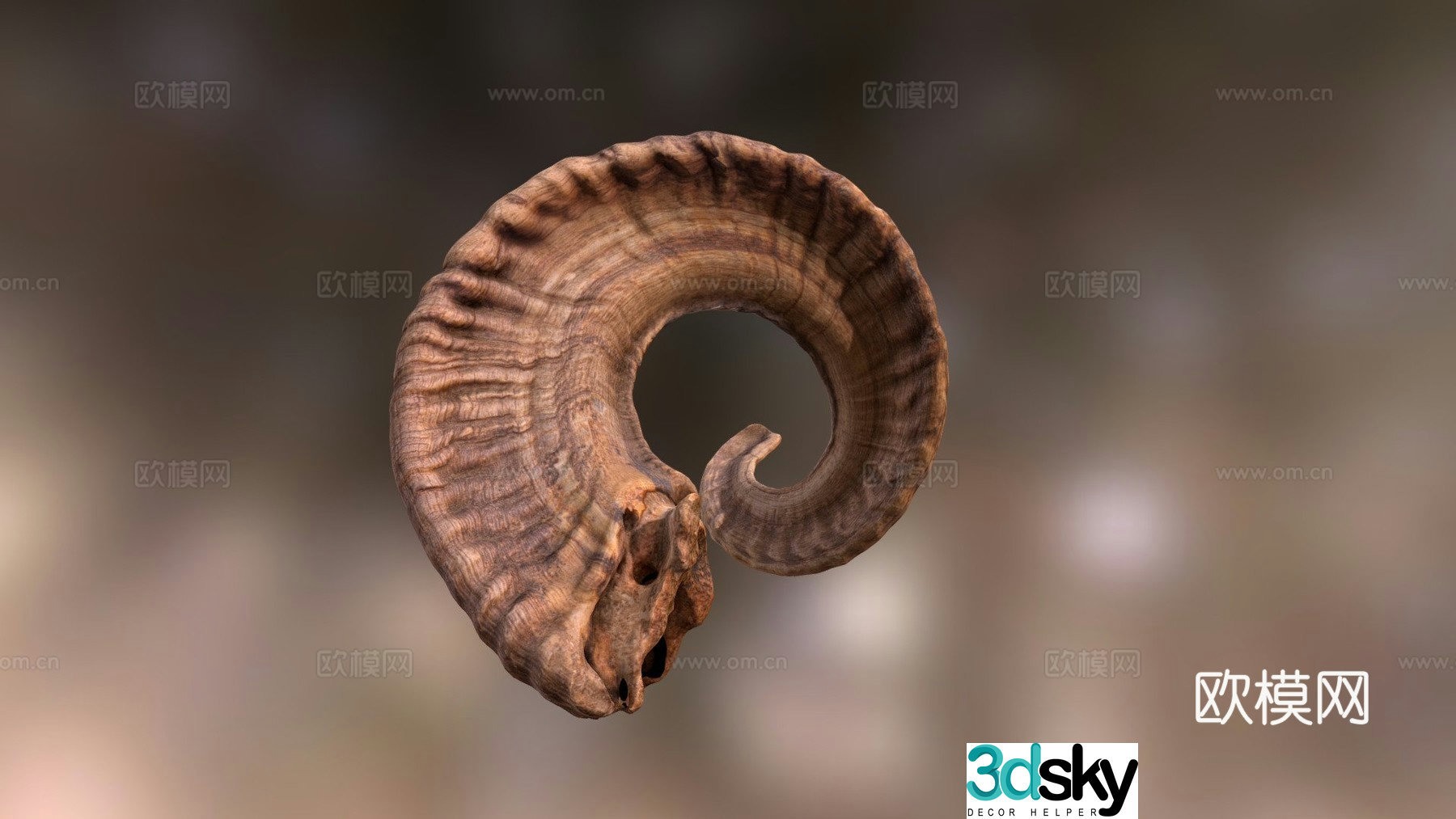 ram horn 3d model
