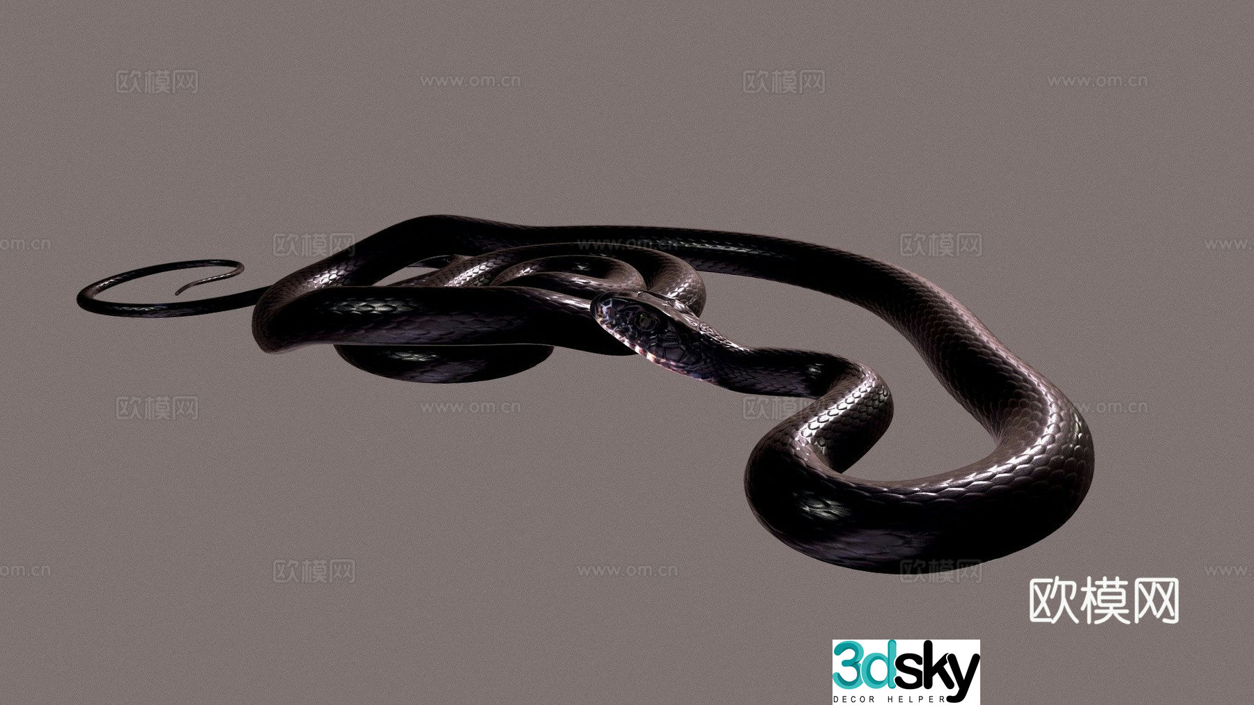 Type A - Cyprus Racing Snake 3d model