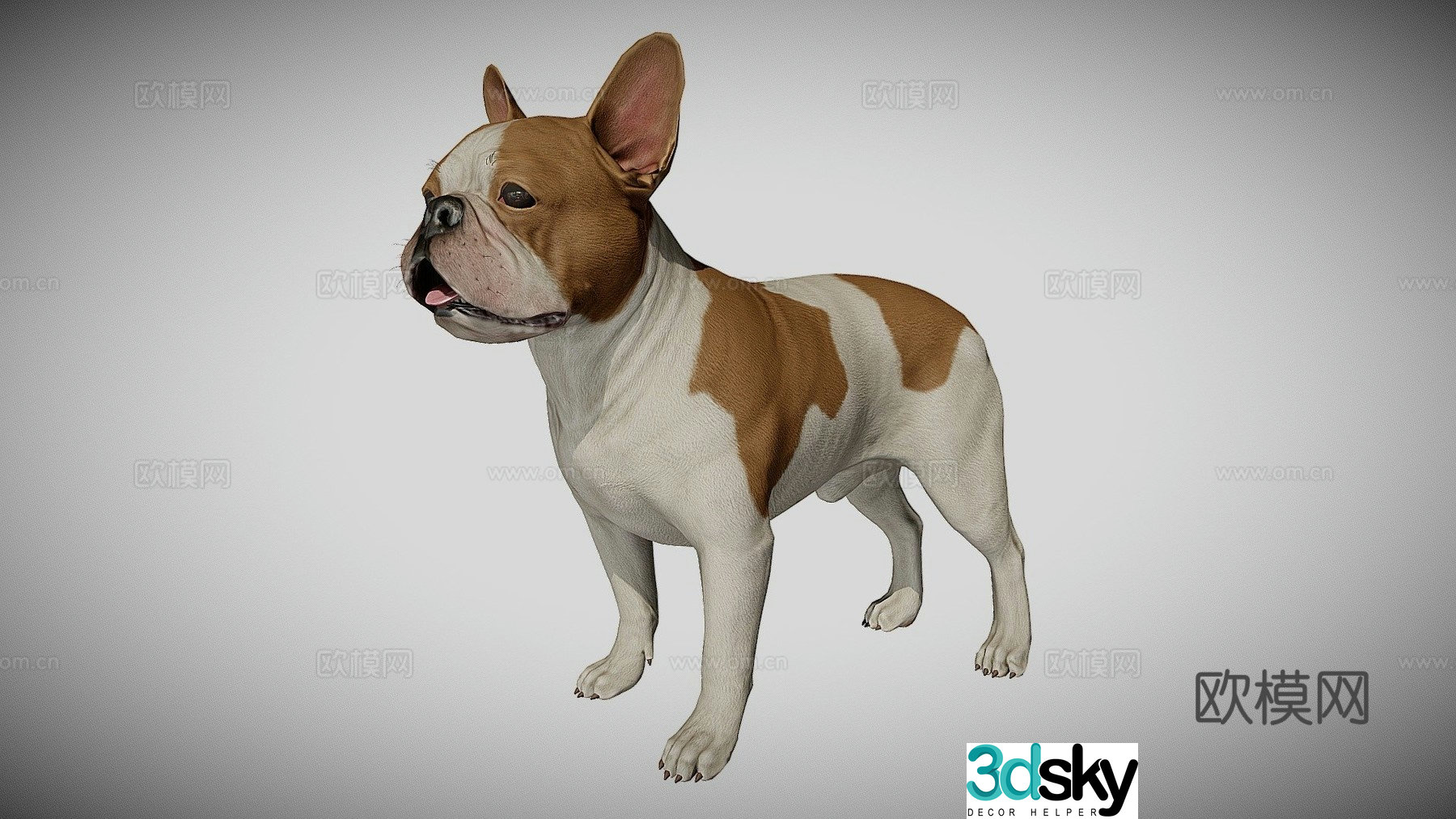 French bulldog 3d model