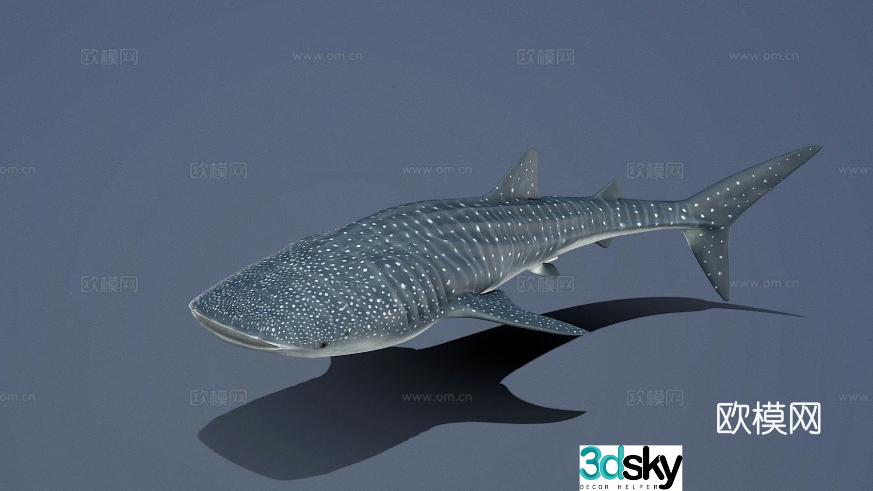 Type A - whale shark 3d model