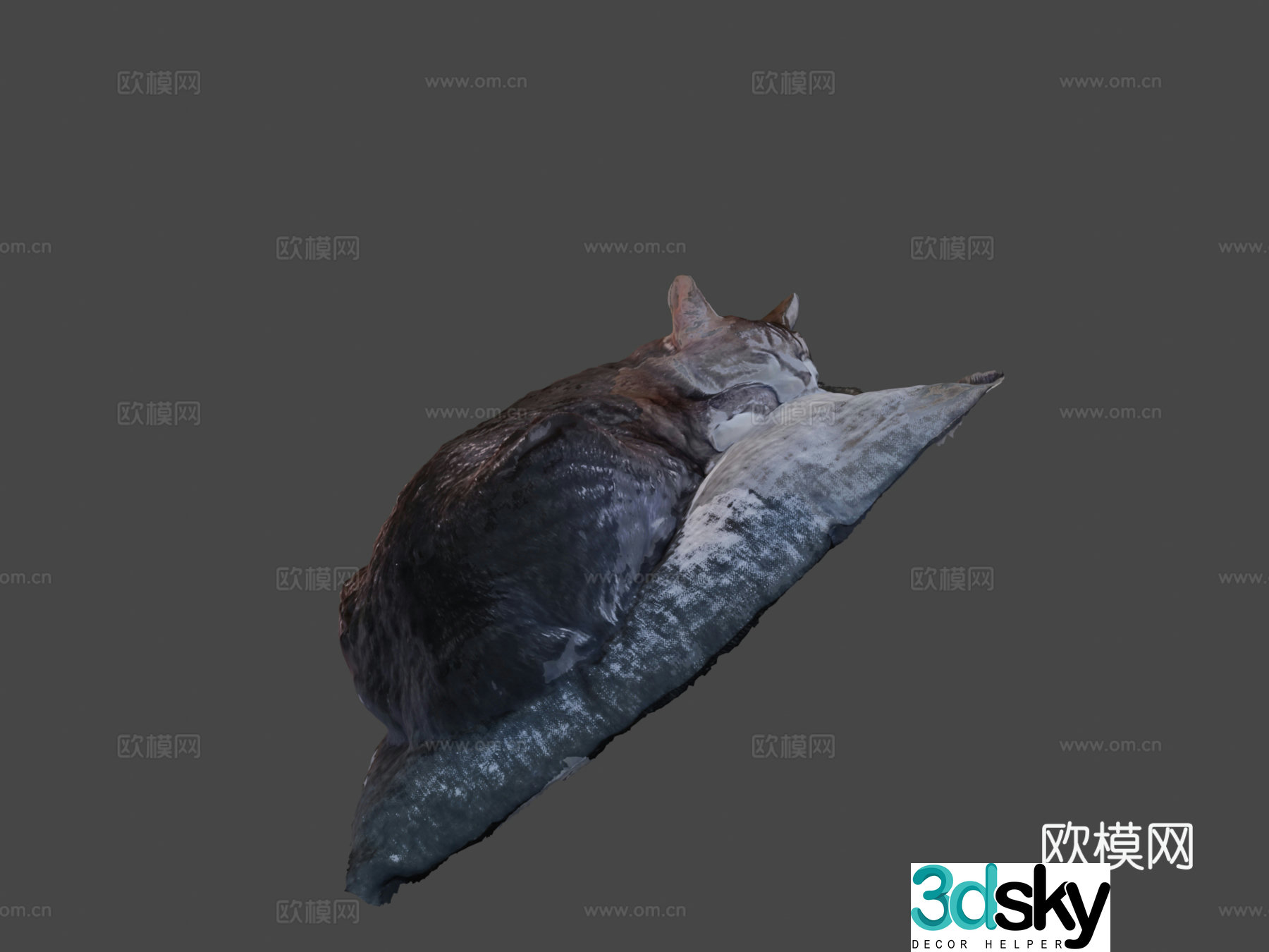 Comfortable sleepy cat 3d model