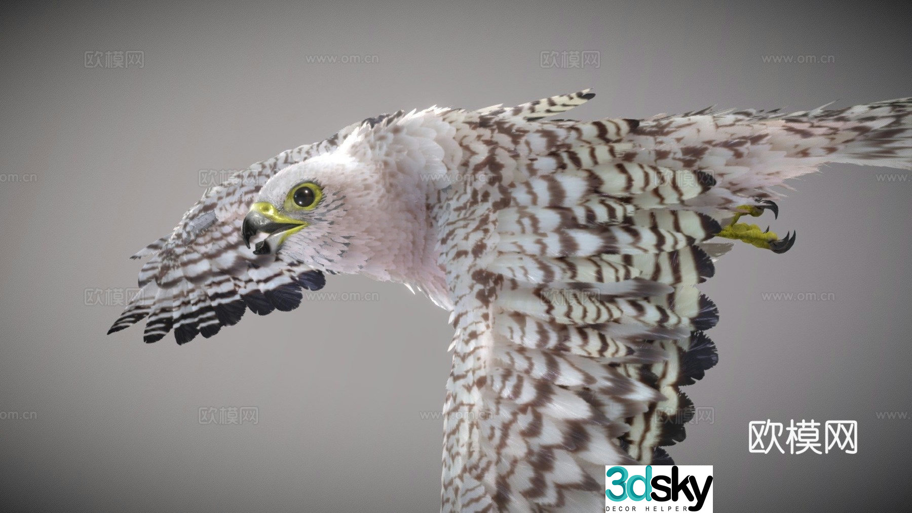 Gyrfalcon 3d model