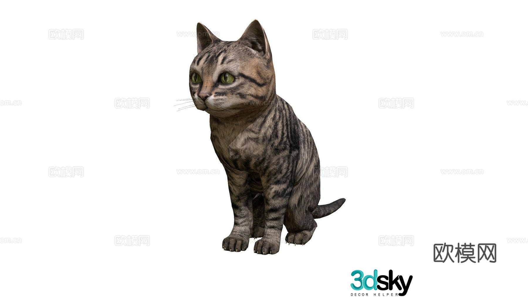 Little tiger cat 3d model