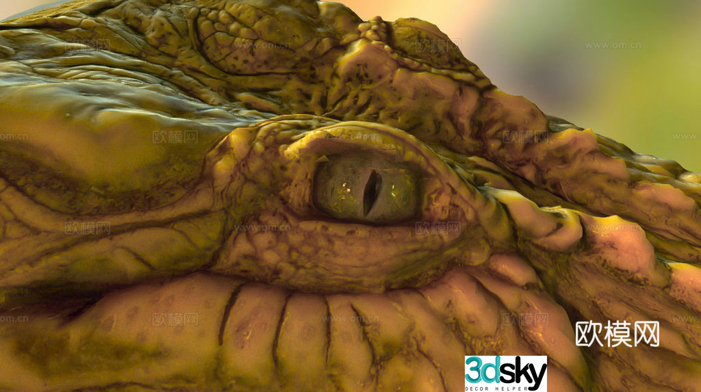 Crocodile head 3d model
