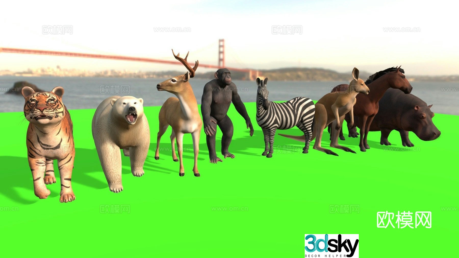 medium animal pack 3d model