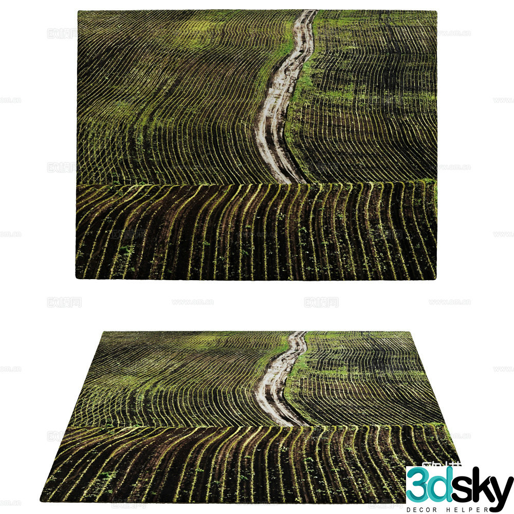 RUGSANDRUGS Carpet 3D Model