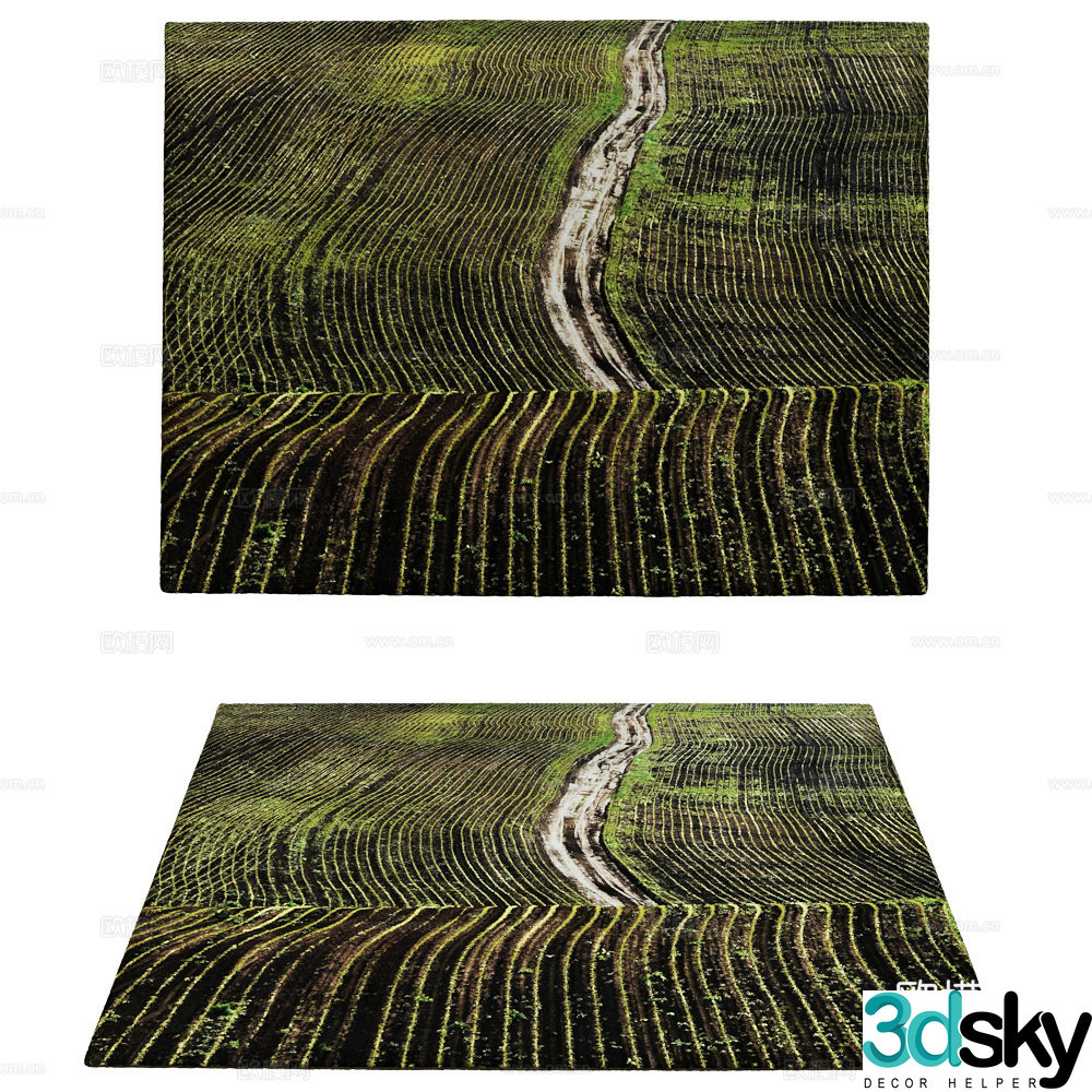 Carpet 3d model